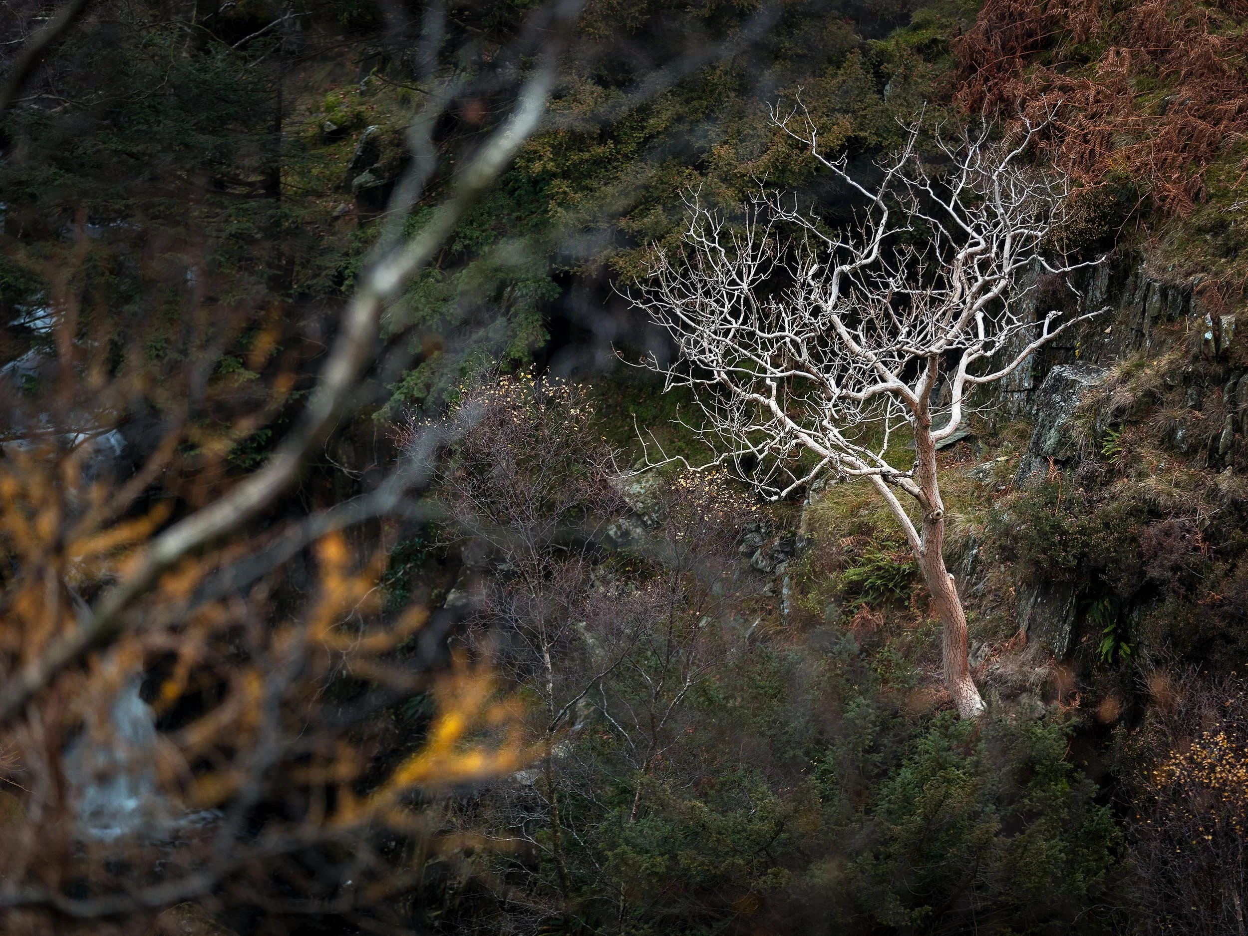 _57A8478.jpg