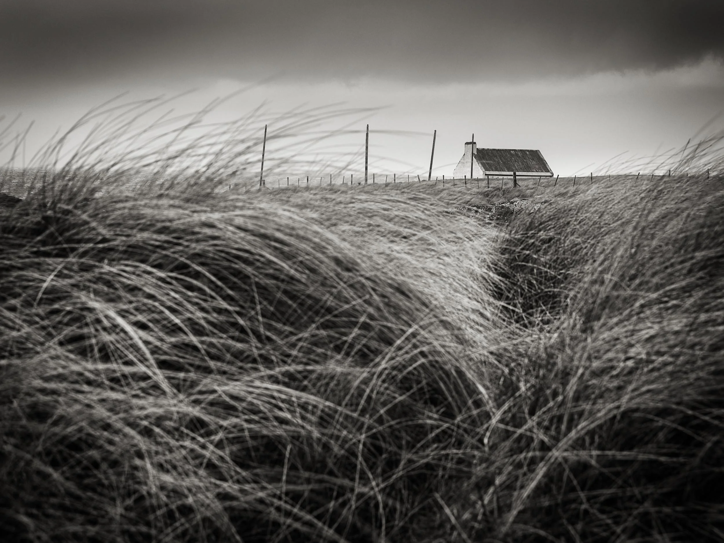 _57A6222 v2-Edit.jpg