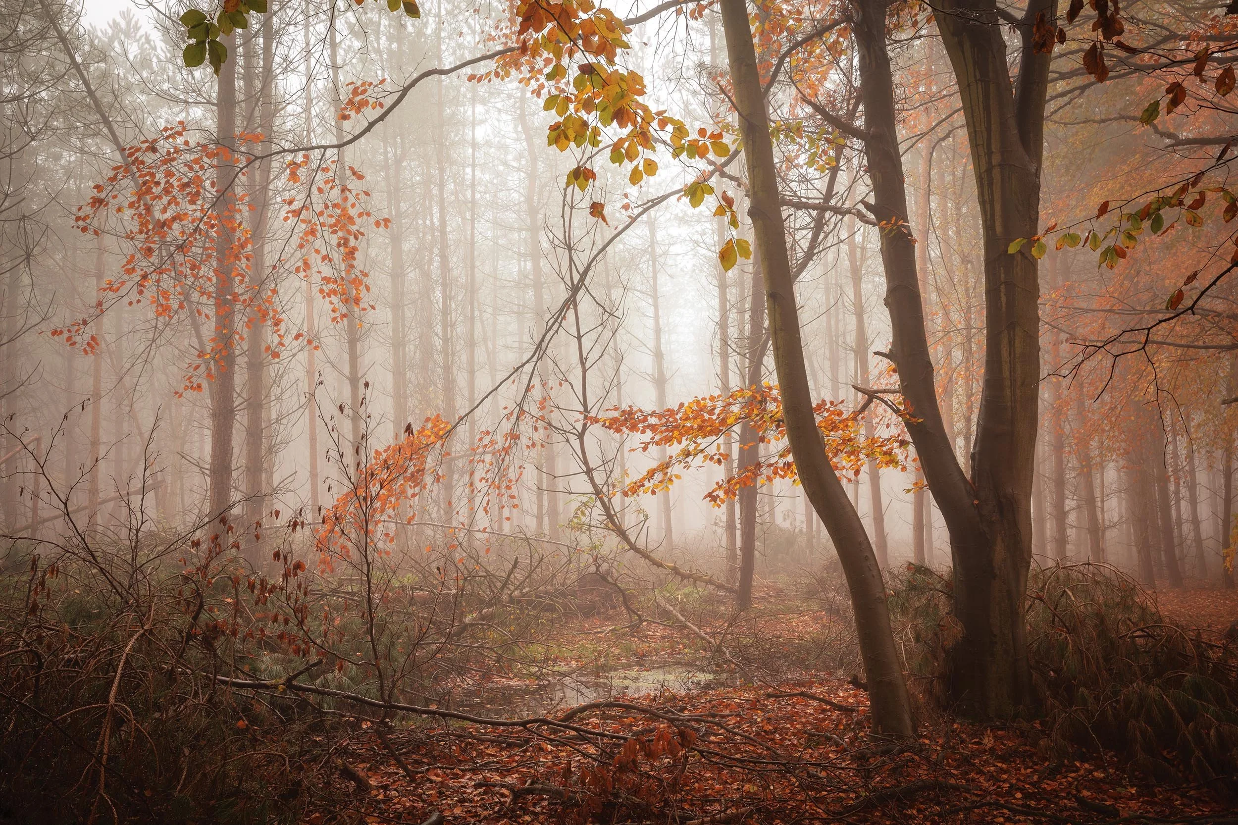 _57A9716.jpg