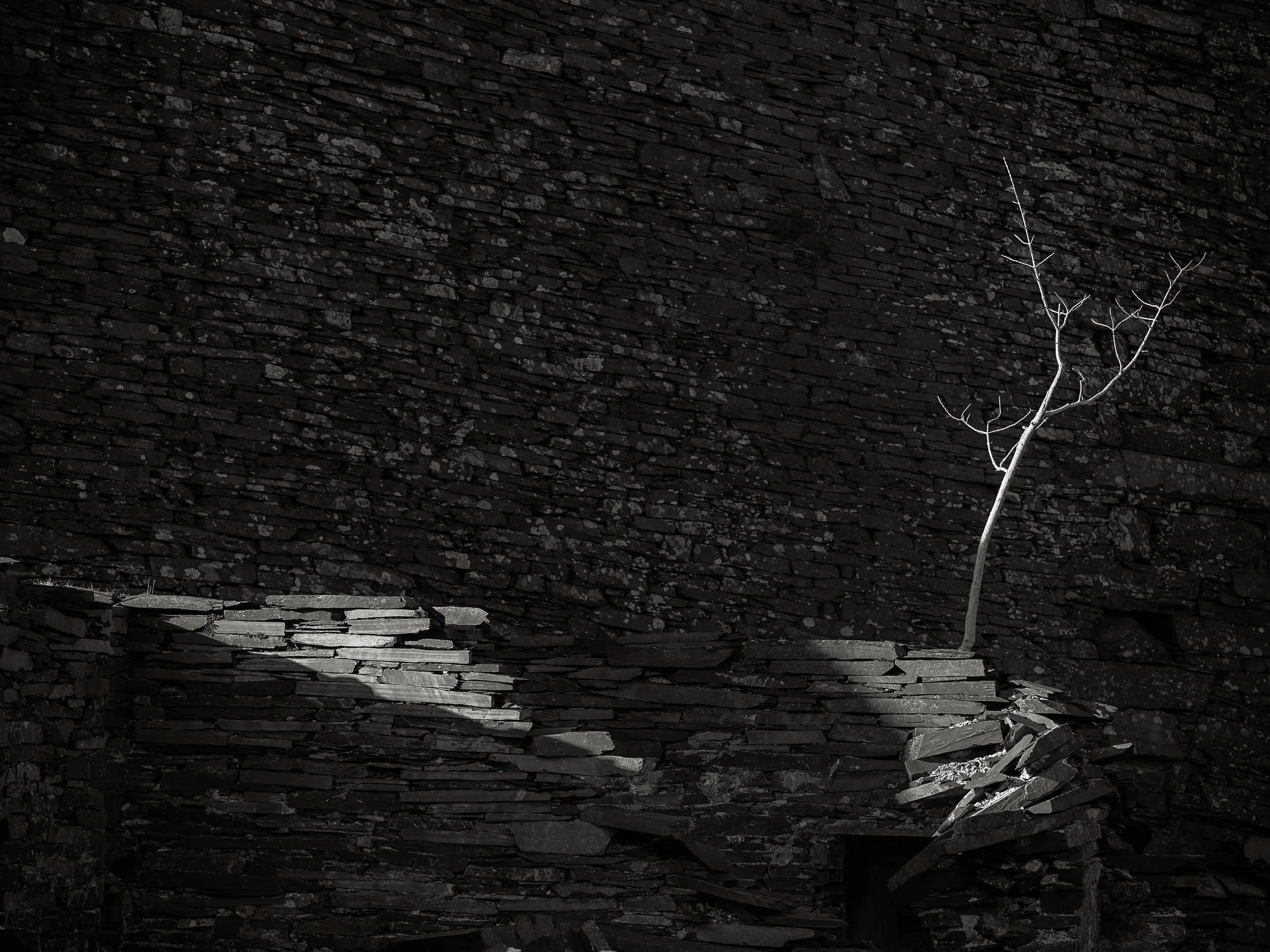 _57A6260 v2-Edit.jpg