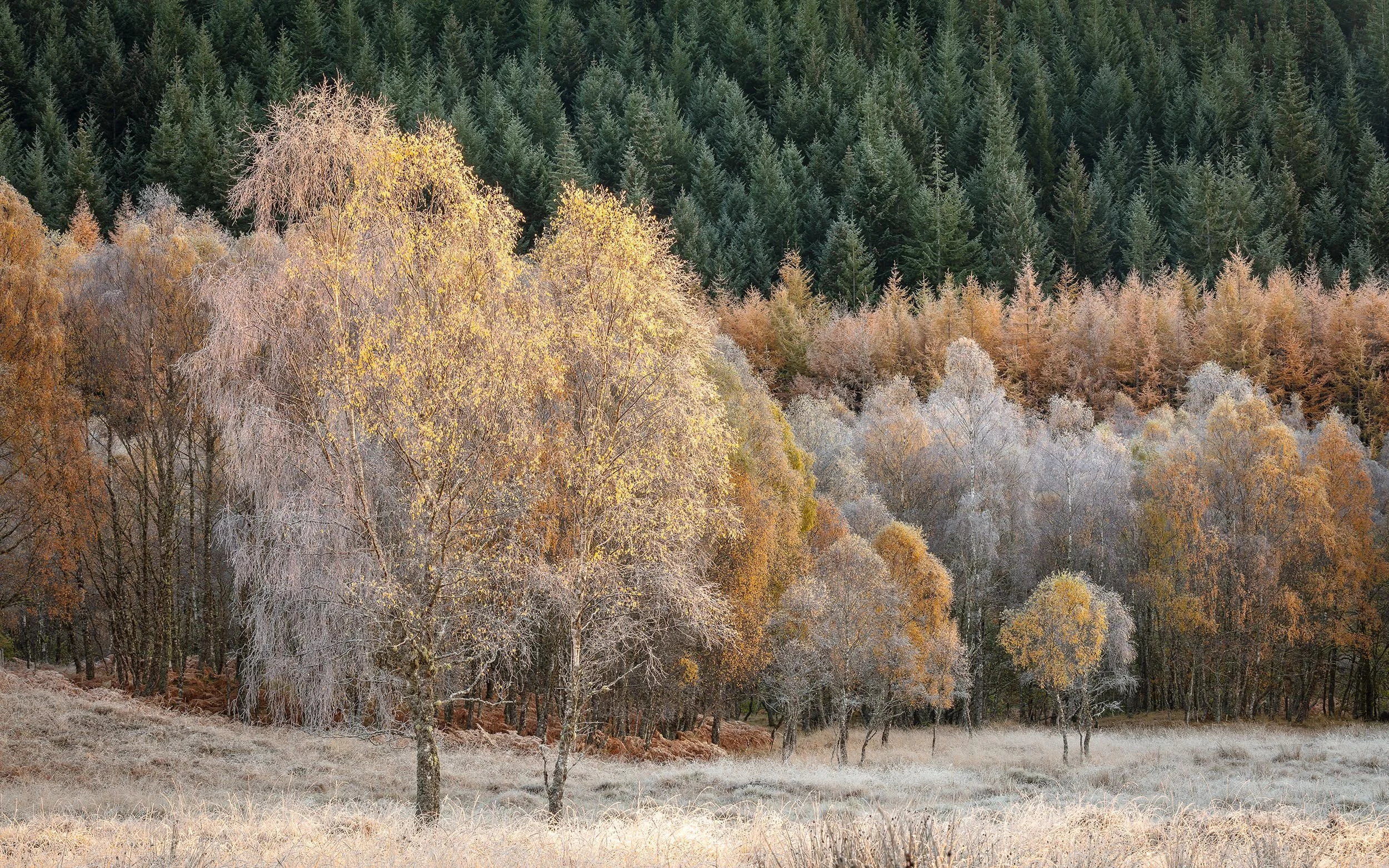_57A4674.jpg