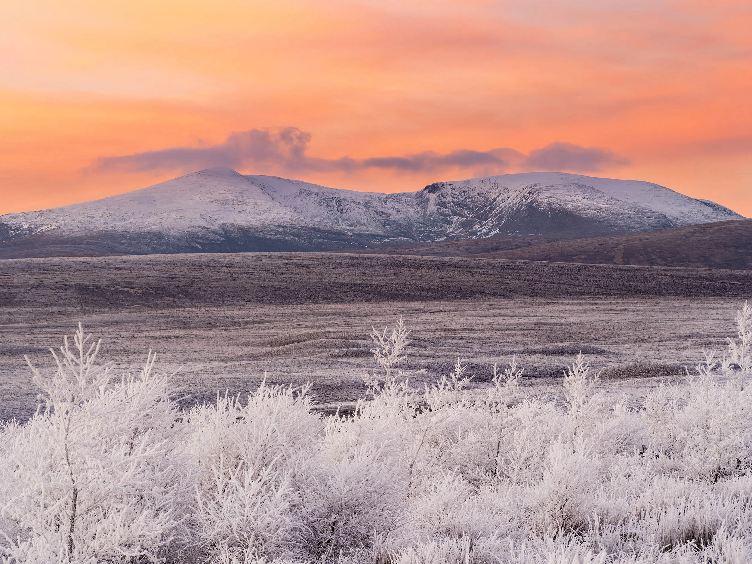 pink sky flat.jpg