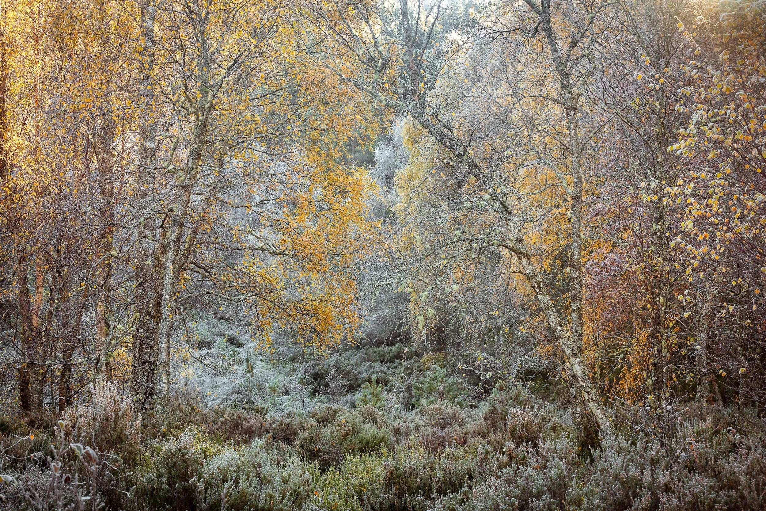 _57A4835.jpg