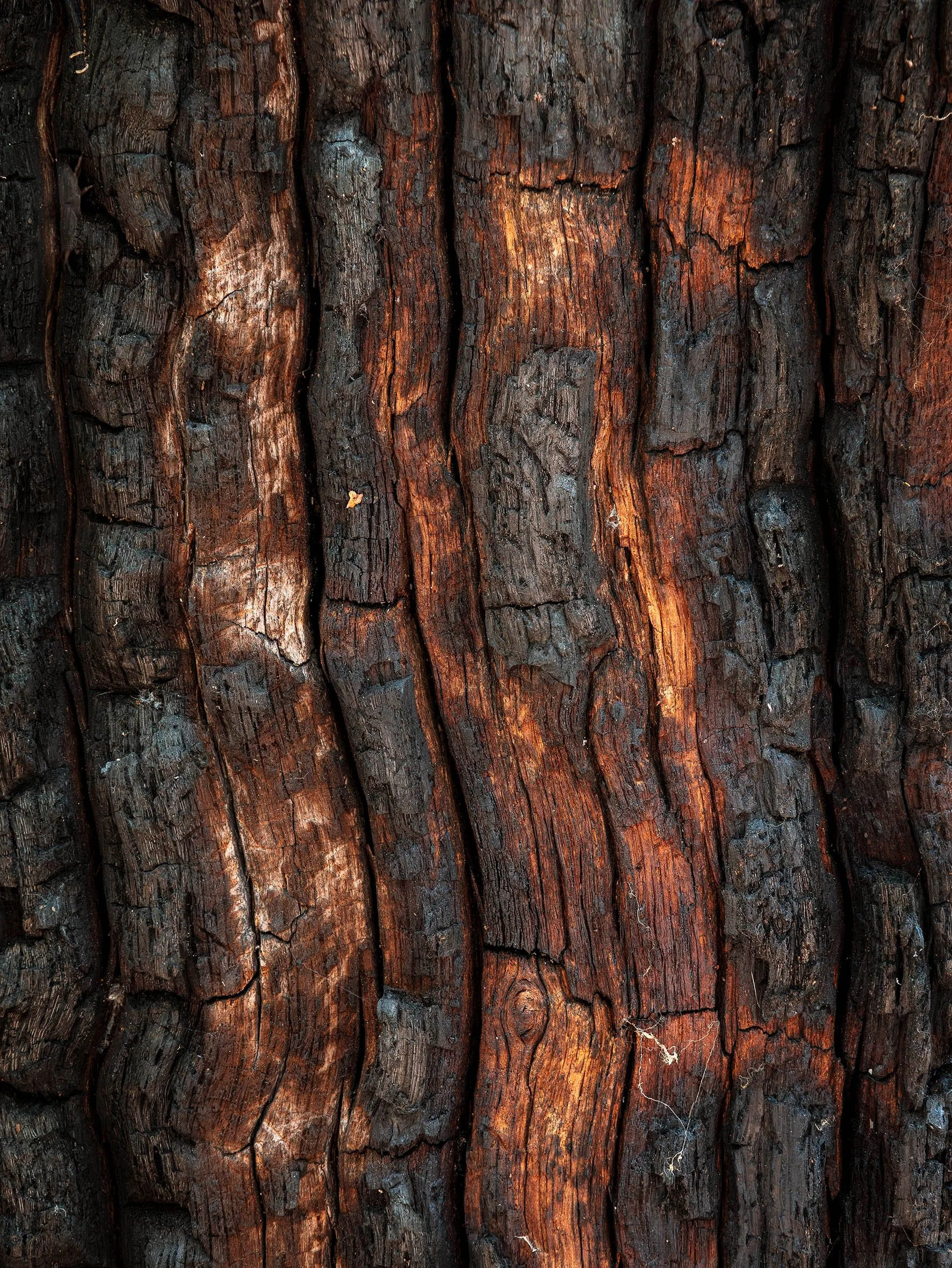 Strioke stack 6.jpg