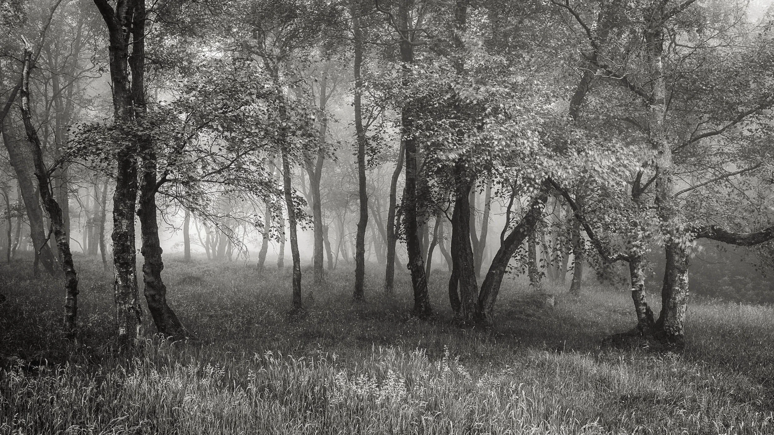 _57A7456 v2-Edit.jpg