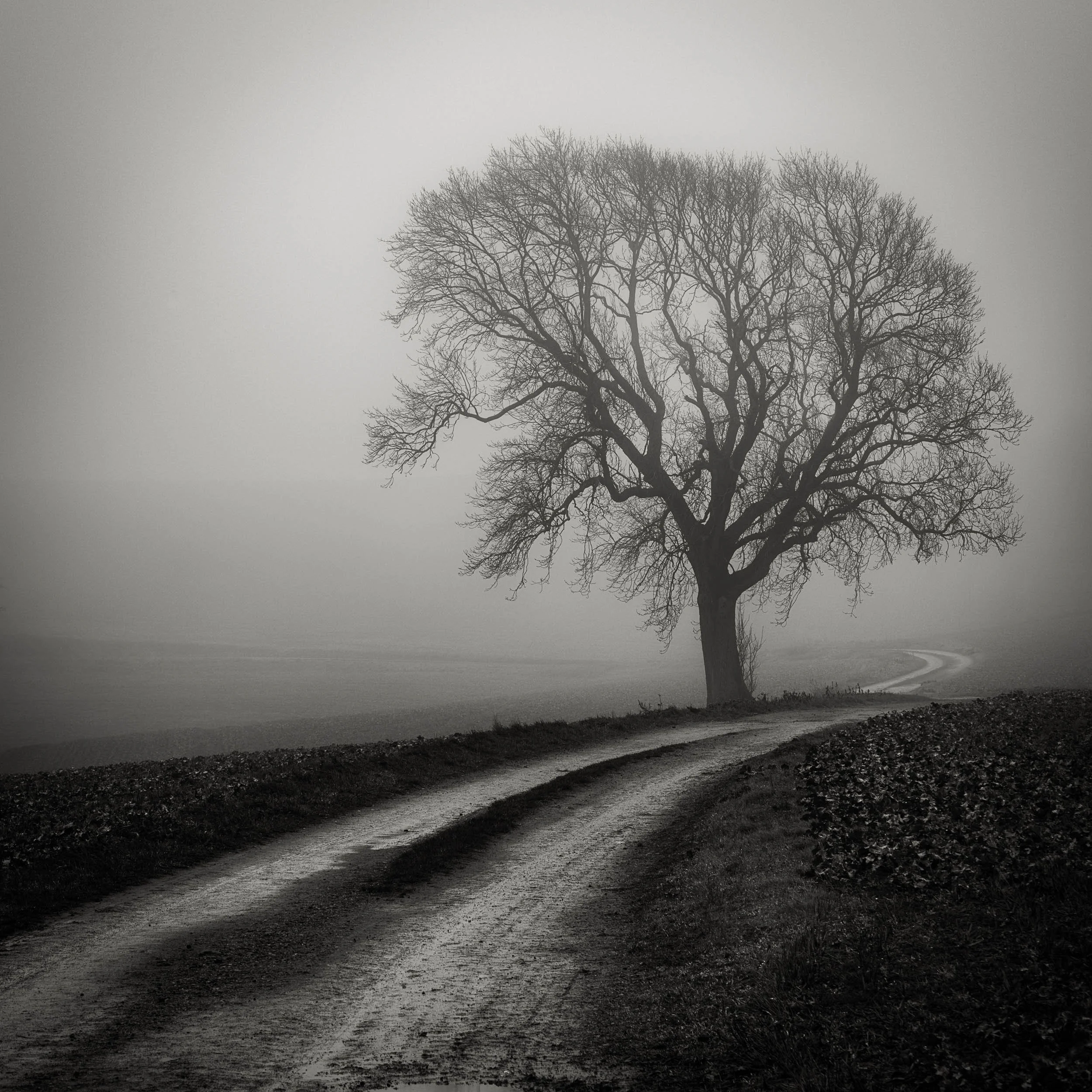 _DSF1701 v2-Edit.jpg