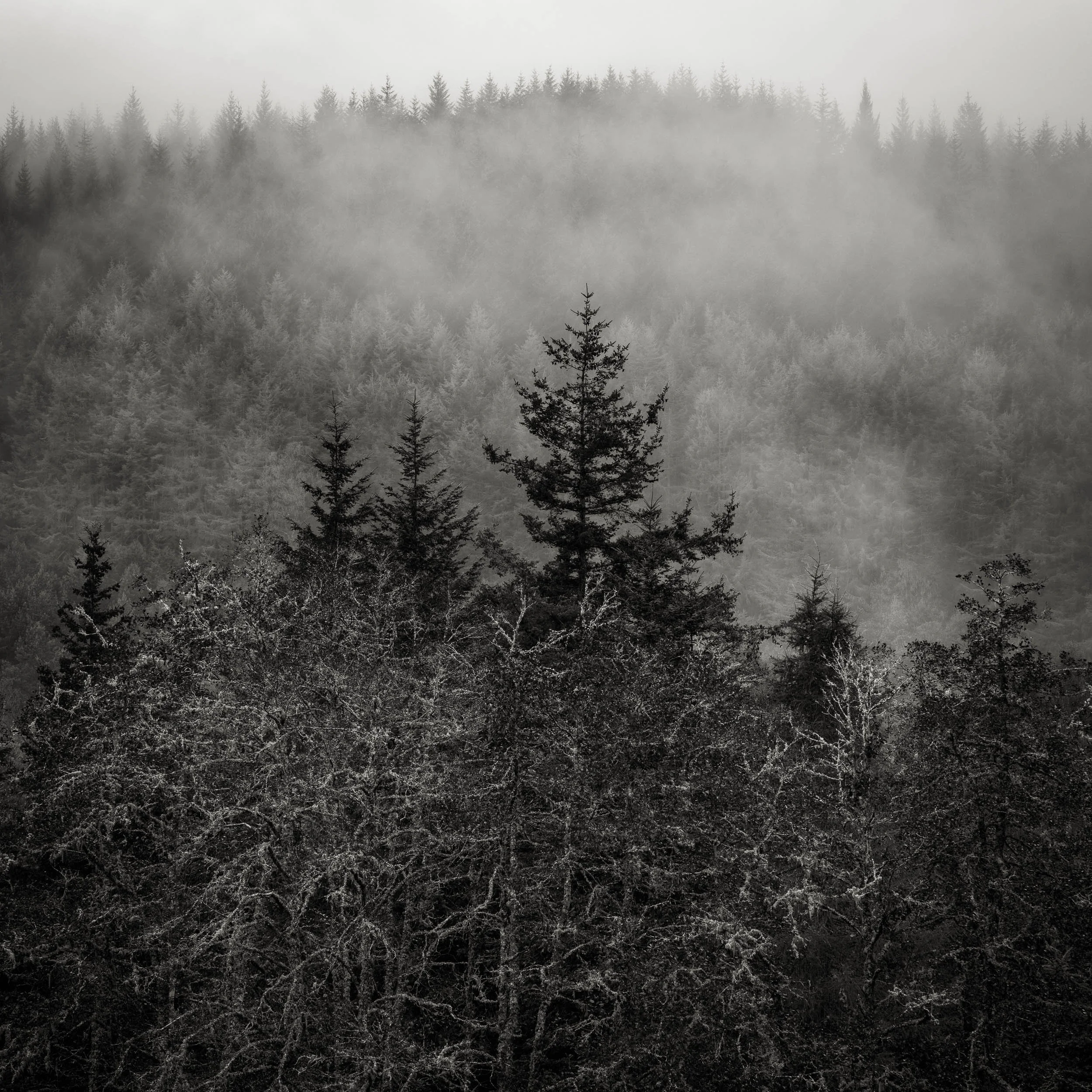 _DSF1485-Edit.jpg