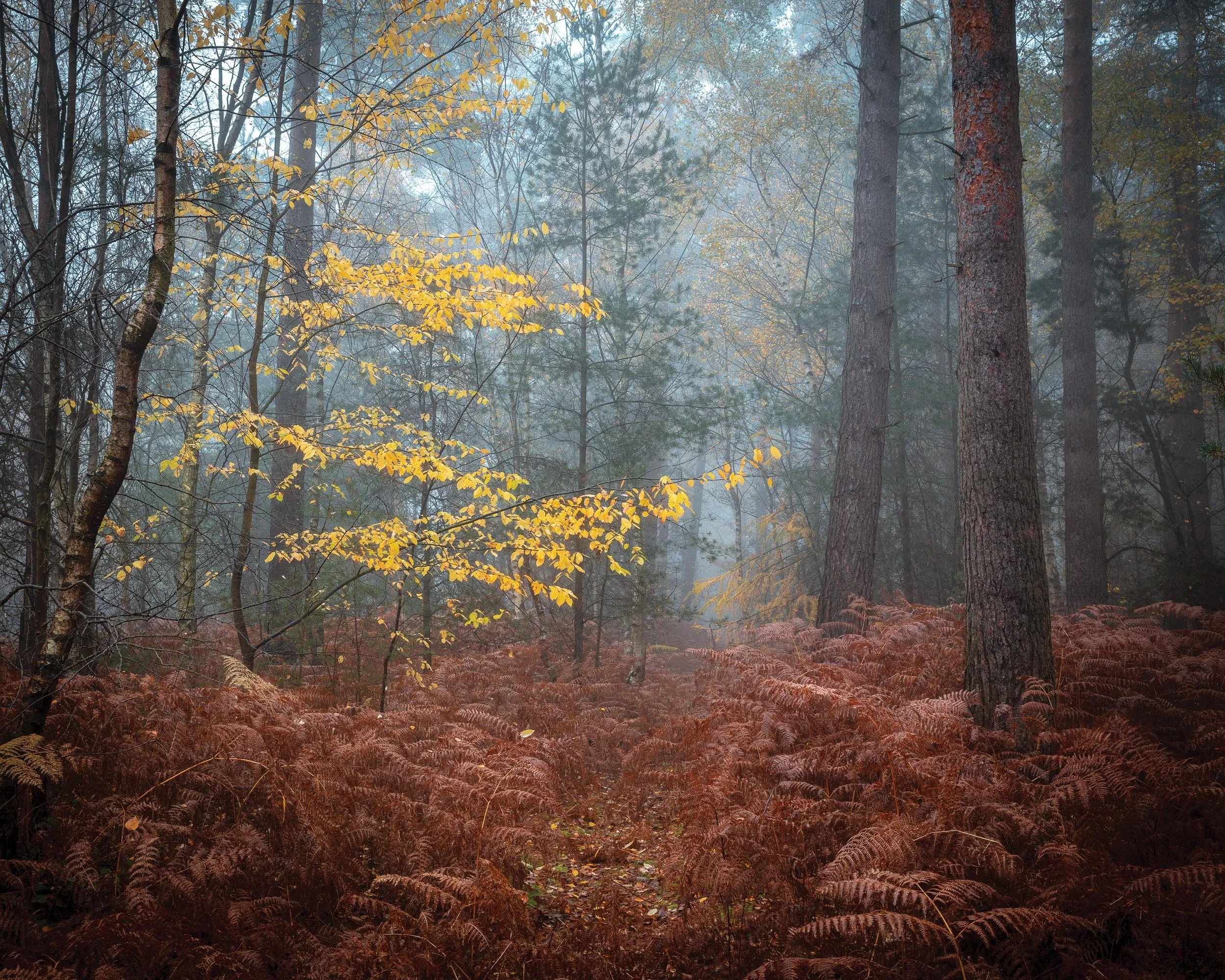 _57A9737.jpg
