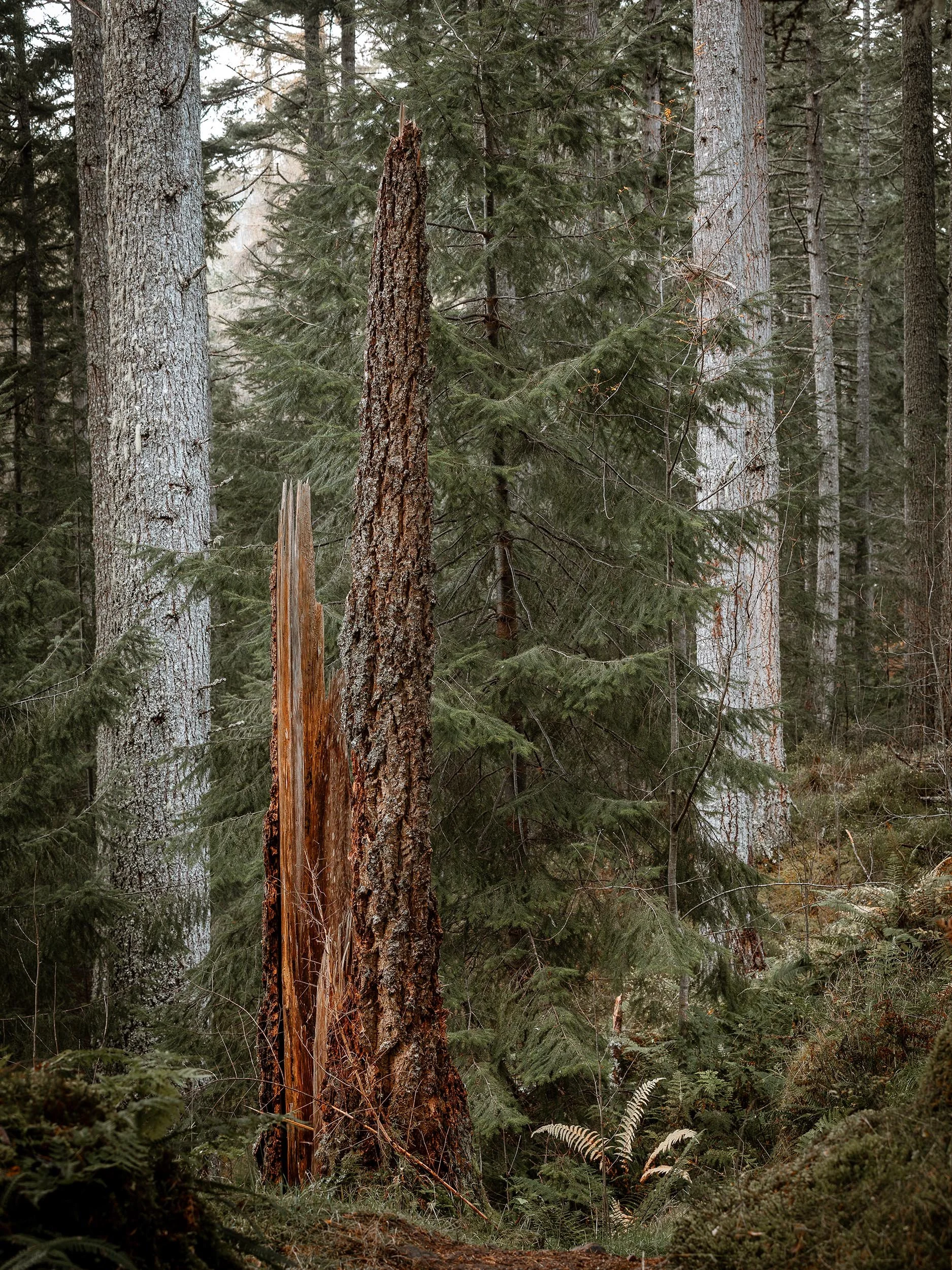 _57A3916.jpg