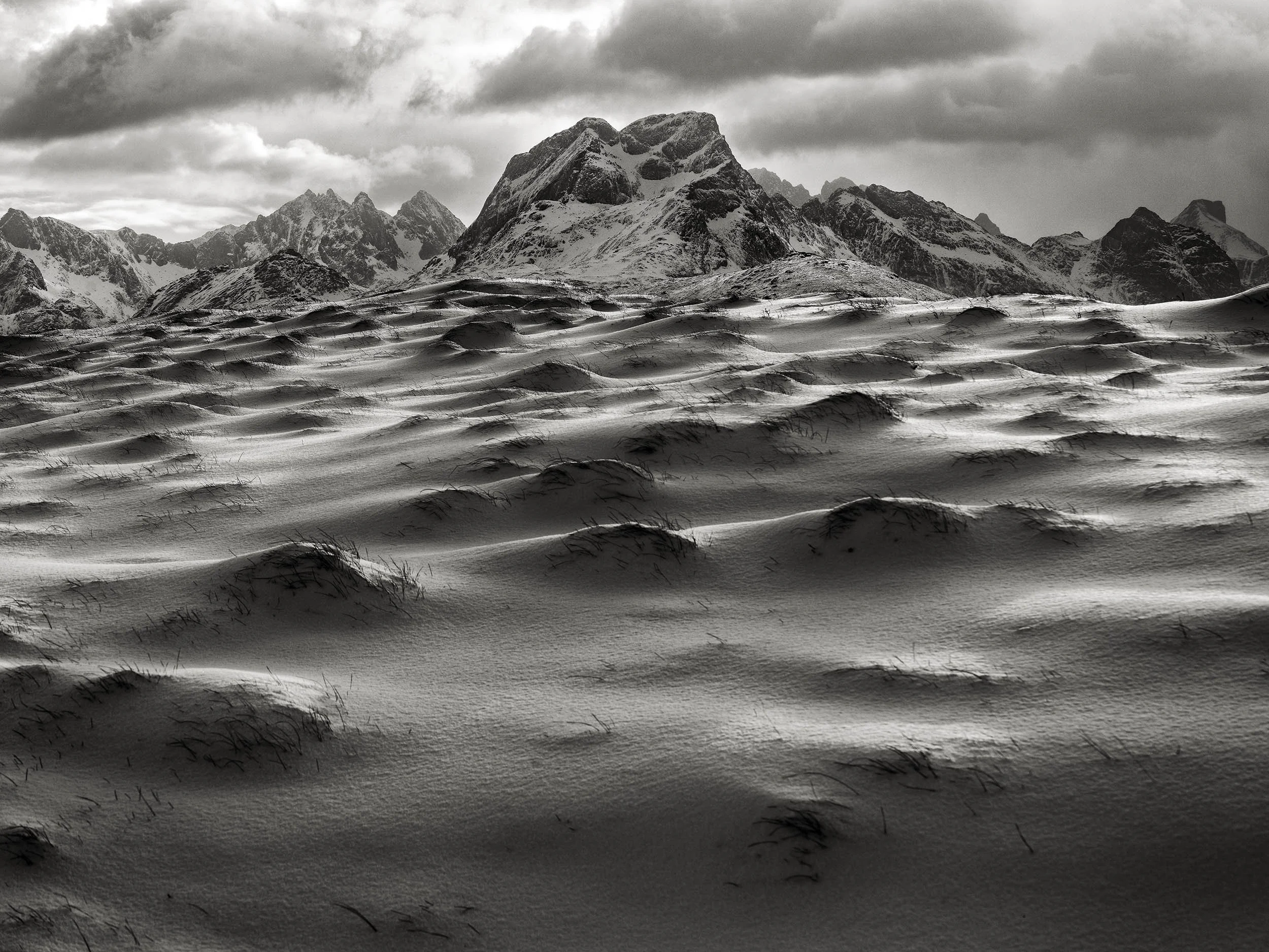 _DSF7408-Edit.jpg