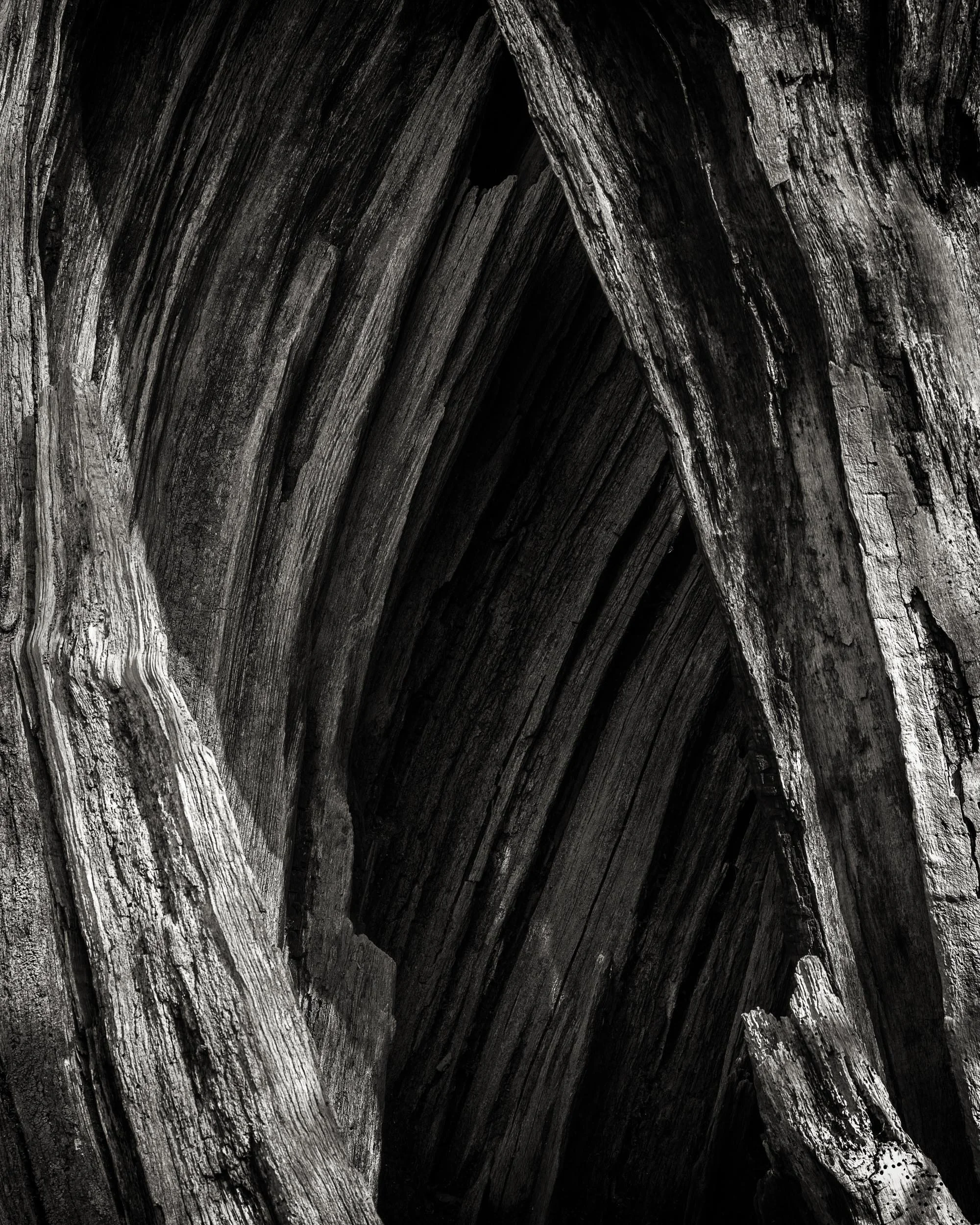 _57A1006 v2-Edit.jpg