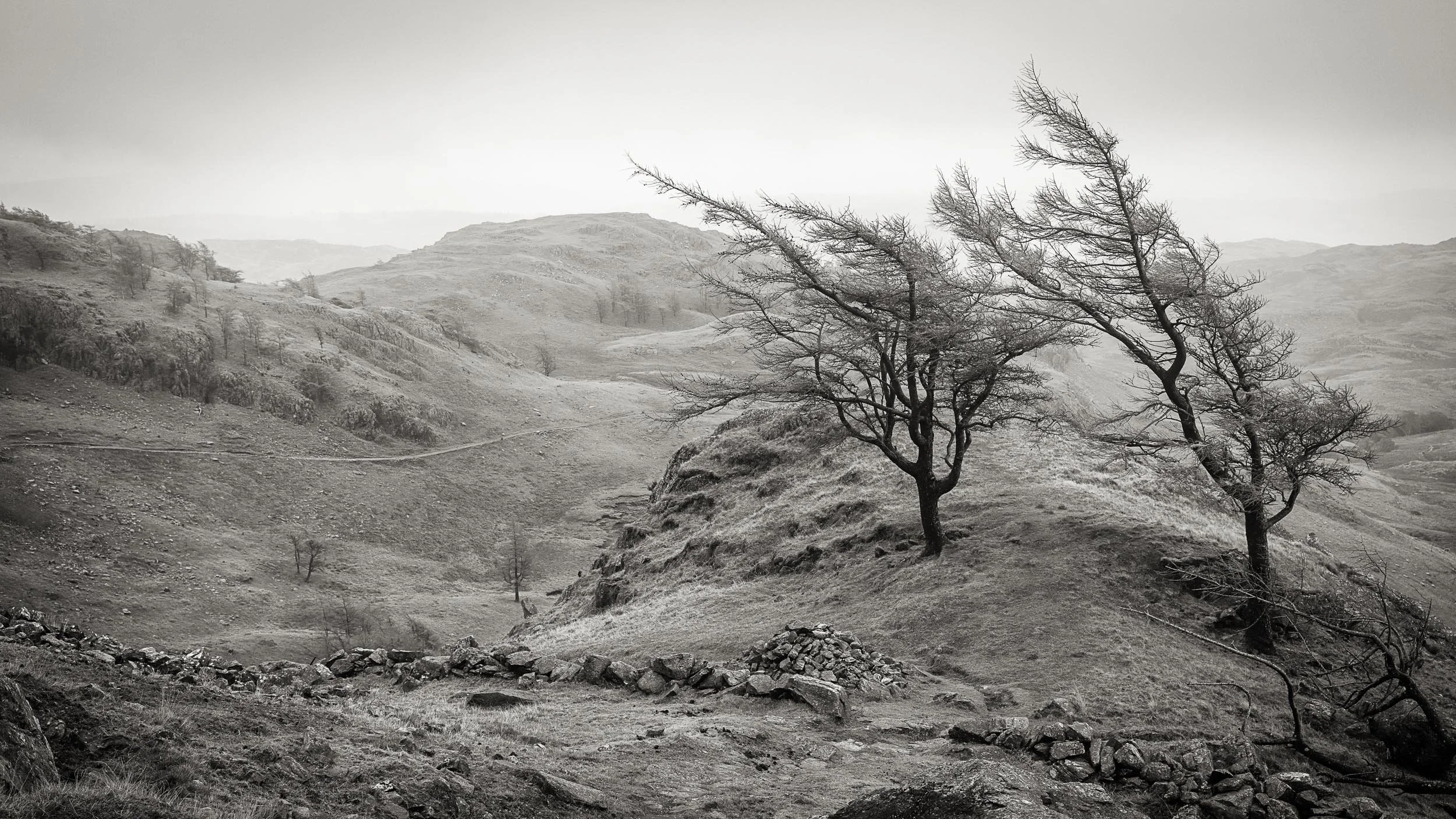 _57A8521 v2-Edit.jpg