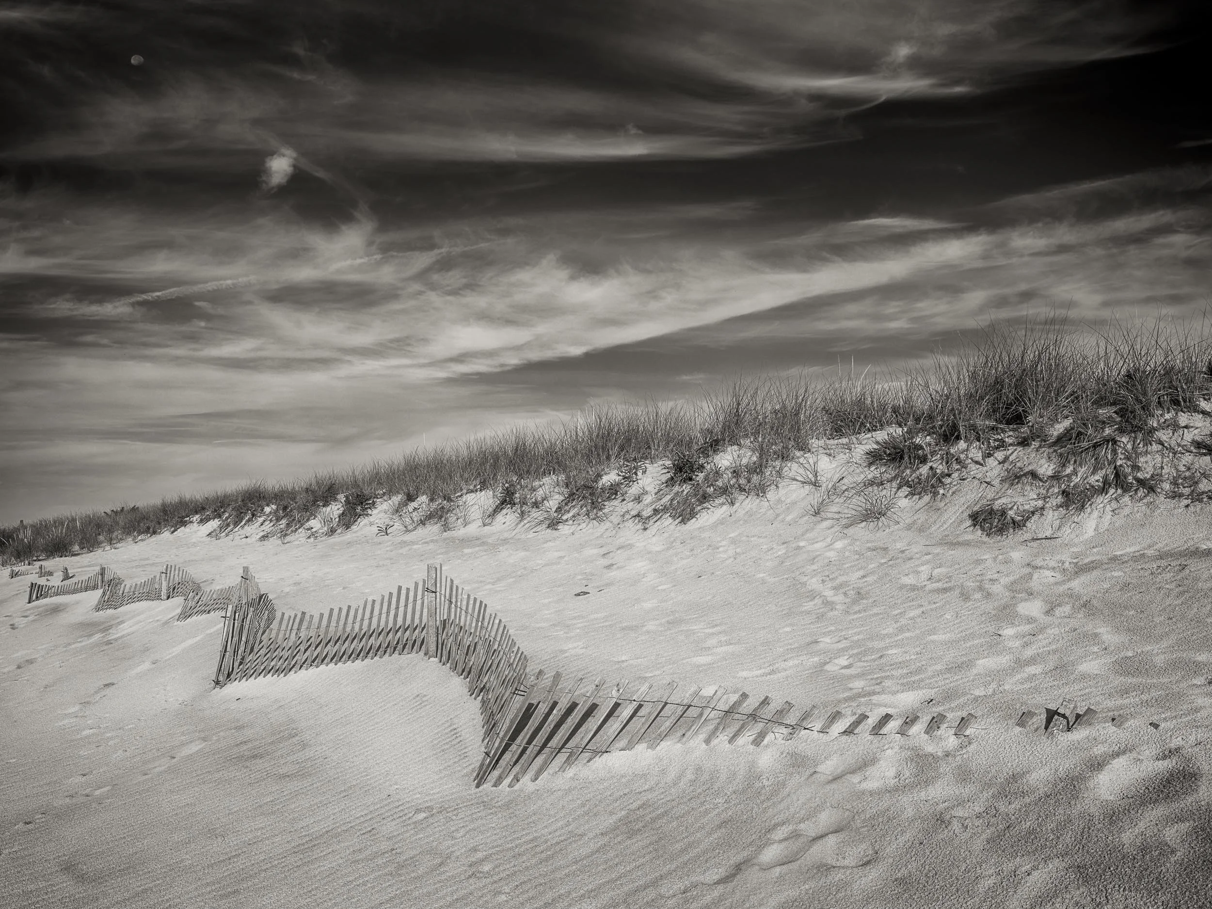 _DSF4034 v2-Edit.jpg