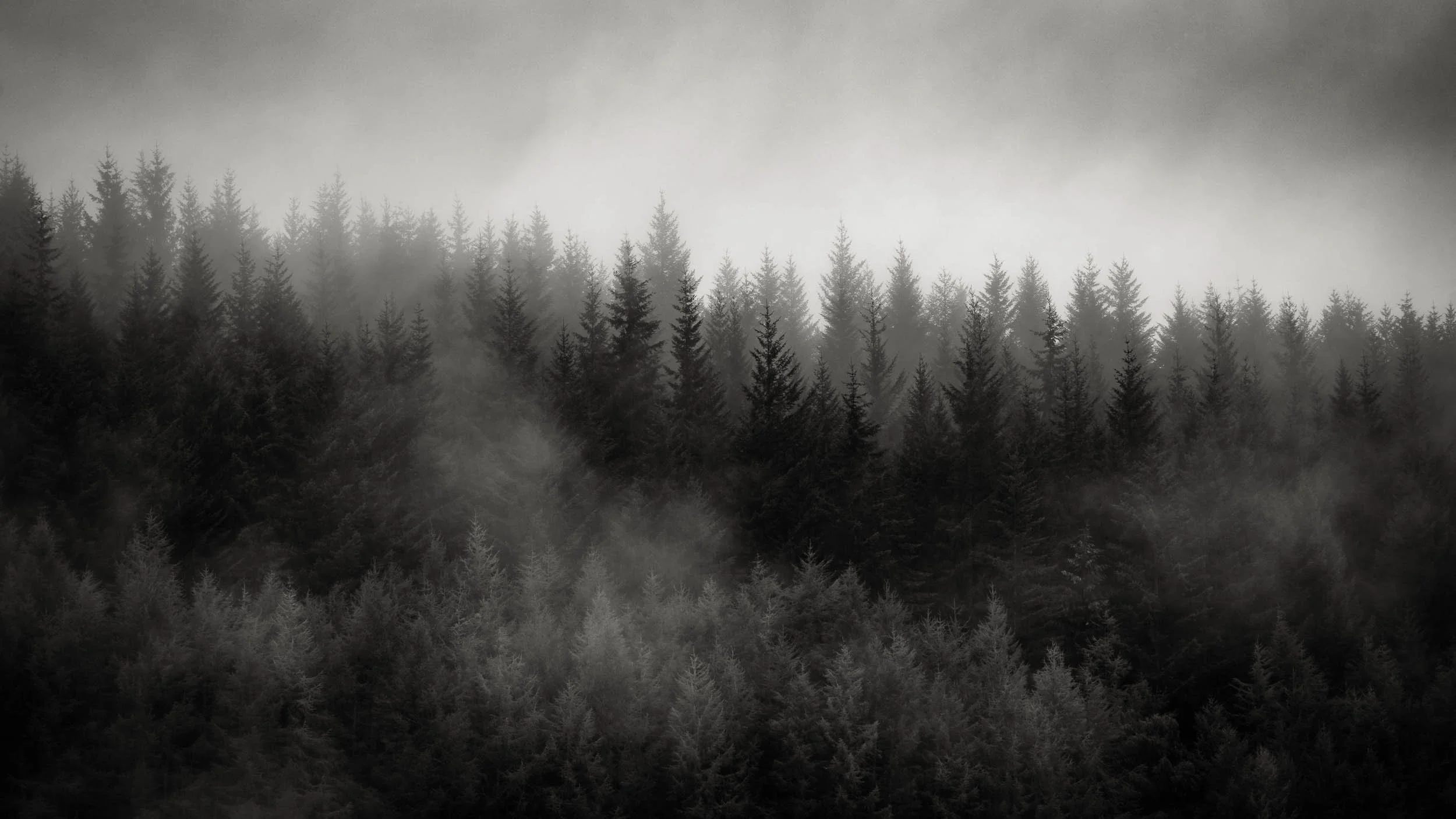 _DSF1492-Edit.jpg