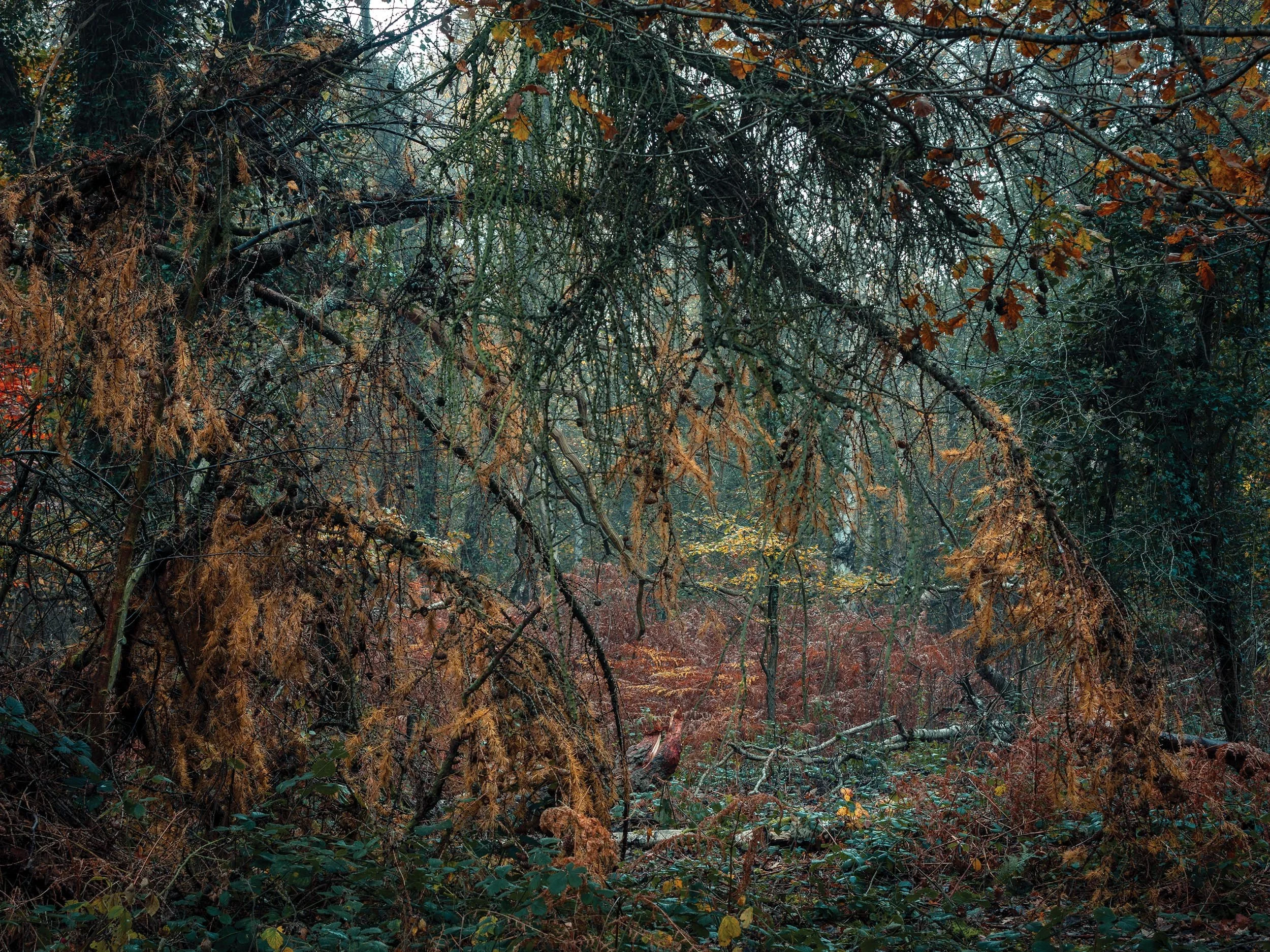 _57A9105.jpg