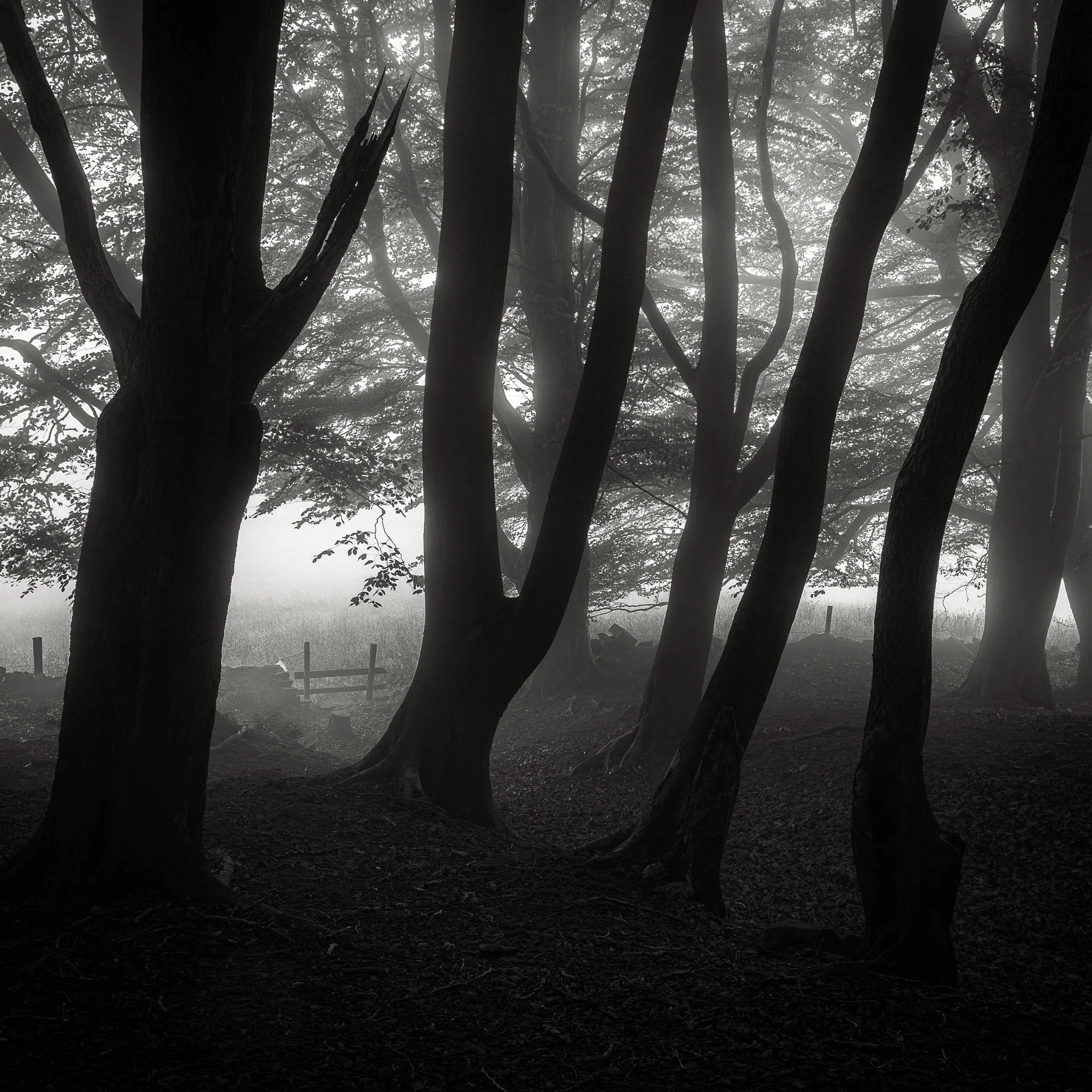 _57A7504 v2-Edit.jpg