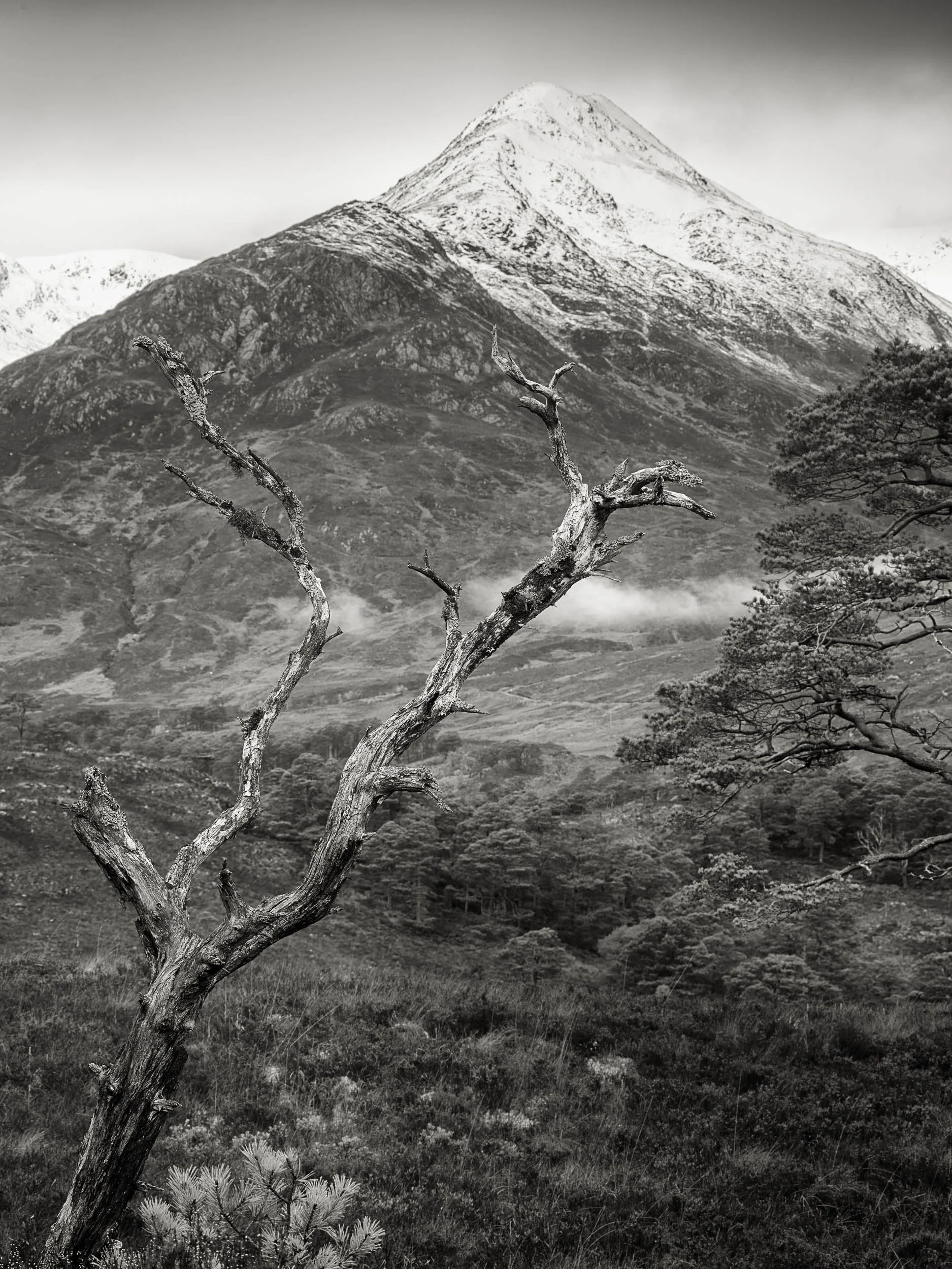 _57A4468 v2-Edit.jpg