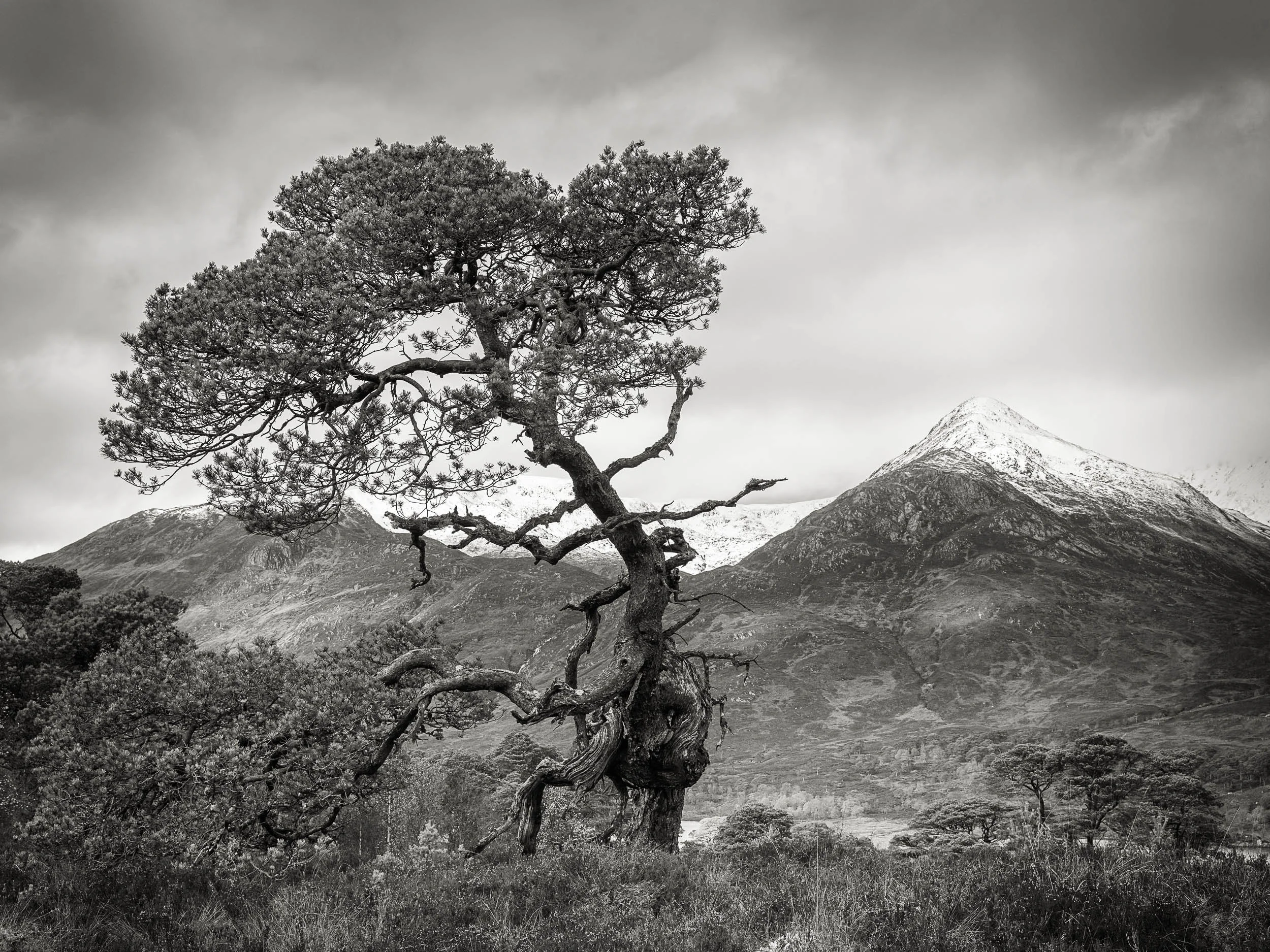 _57A4508 v2-Edit.jpg