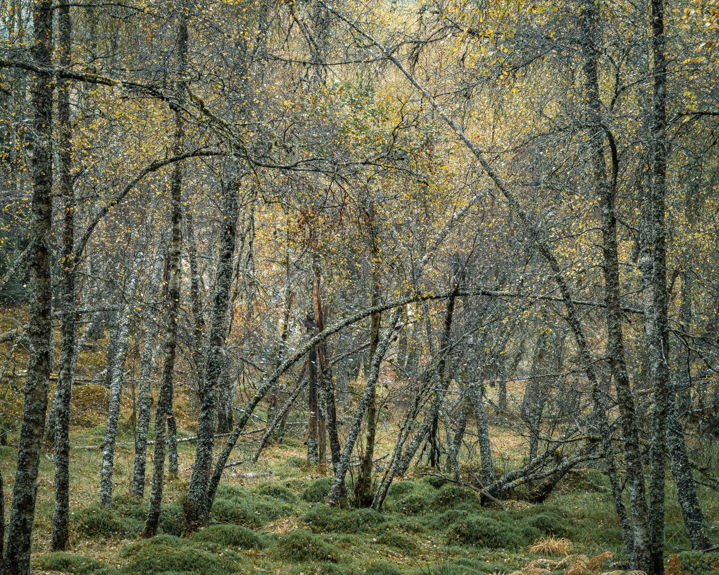 _DSF1488.jpg