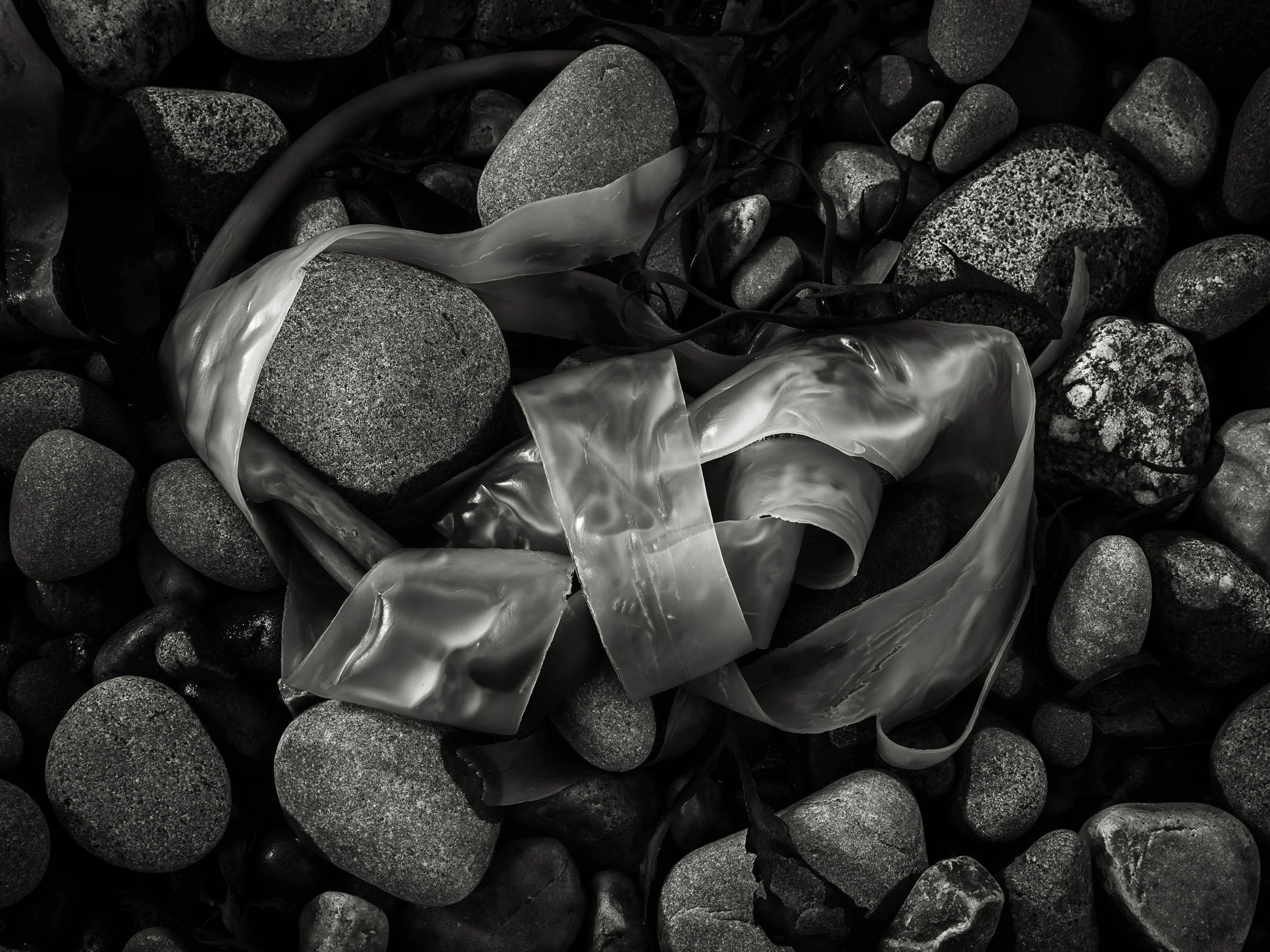 _57A2105 v2-Edit.jpg