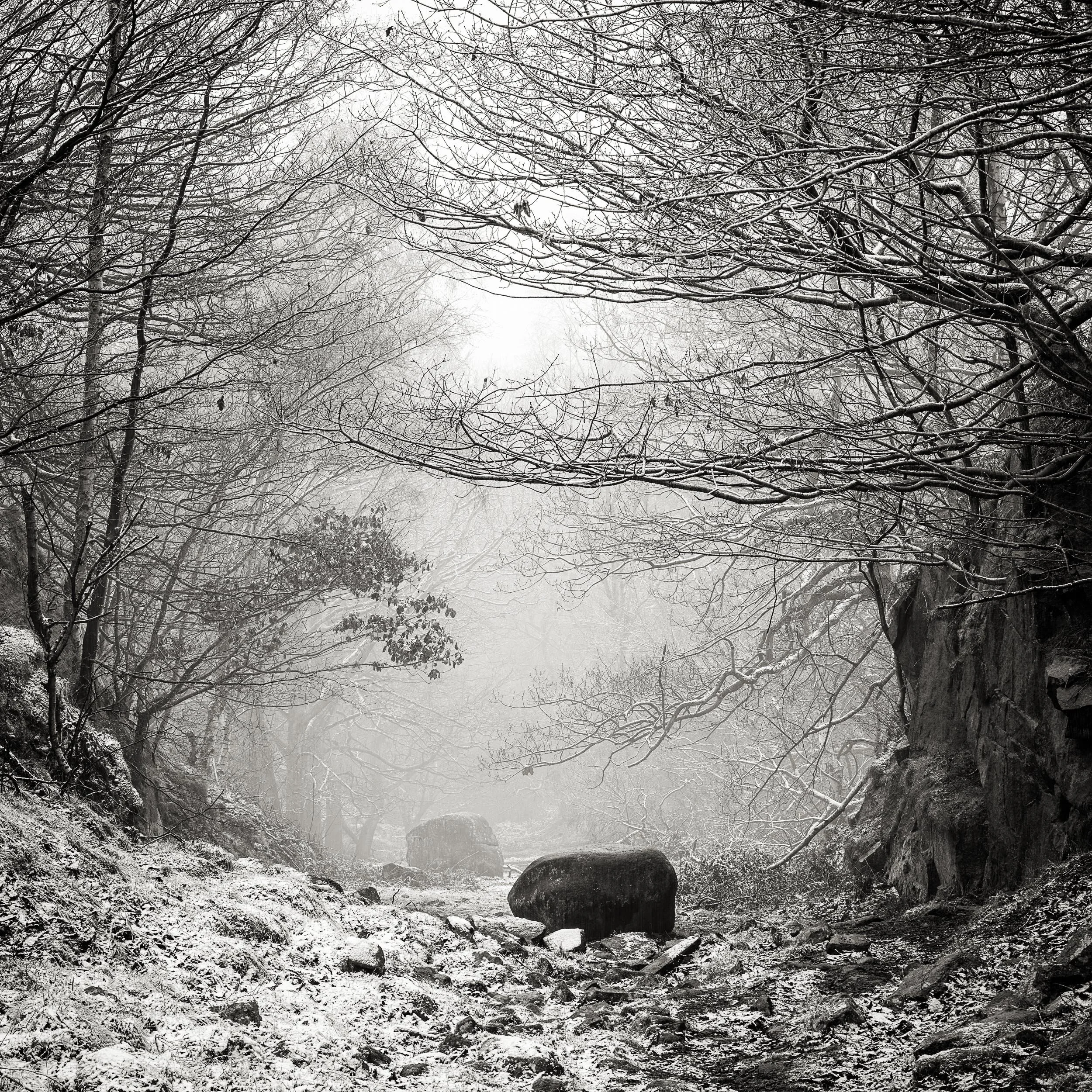 _57A0644 v2-Edit-2.jpg