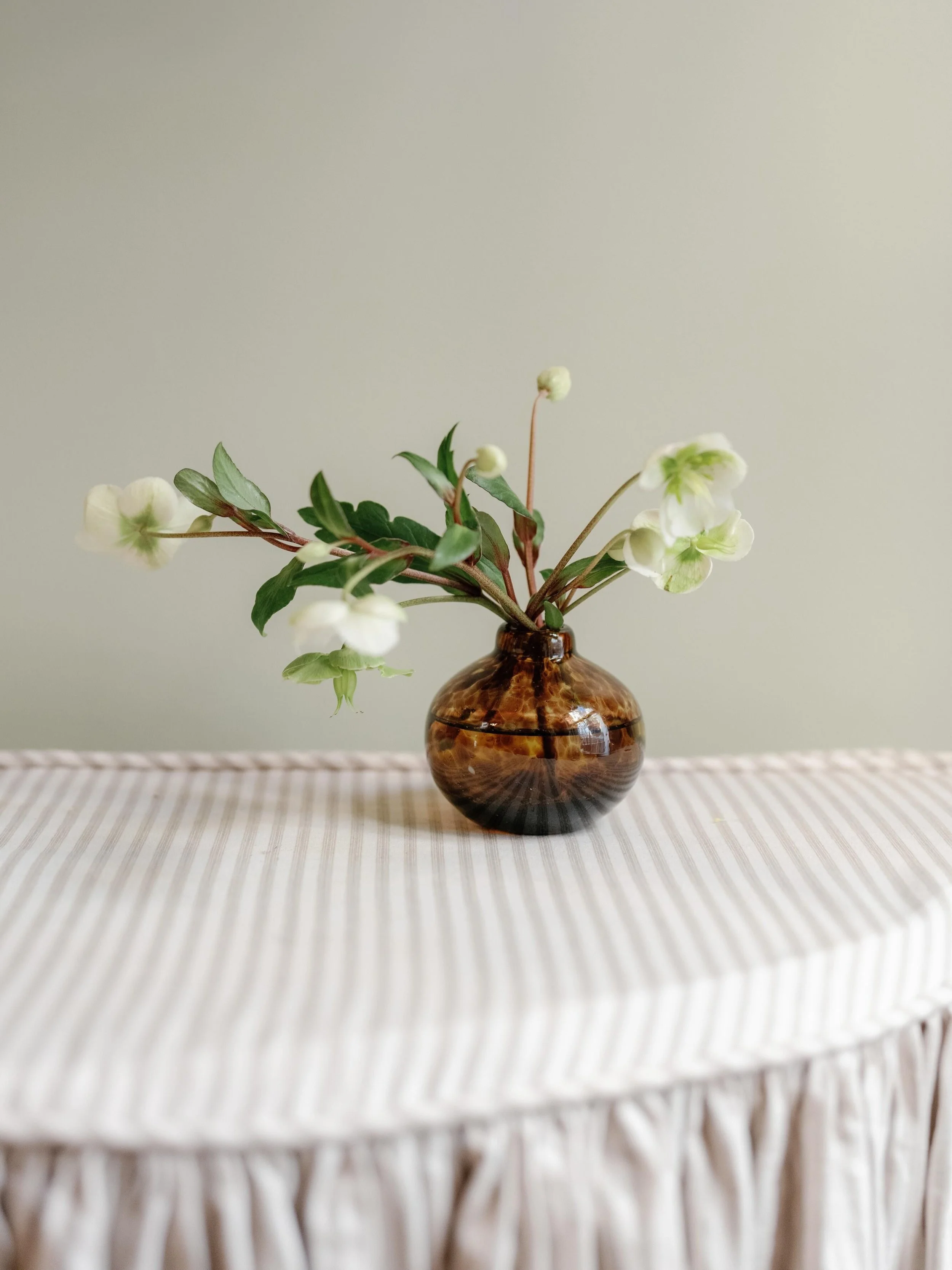 A moment for Tortoise.⁠
⁠
A timeless, neutral finish that pairs beautifully with a range of styles and settings.⁠
⁠
Featured:⁠
⁠
🤎 Bud Vase⁠
🤎 Mini 7&rdquo; Hurricane⁠
🤎 Cloche⁠
🤎 Signature 14&rdquo; Hurricane⁠
🤎 Exclusive Moda Domus Bell Hurric
