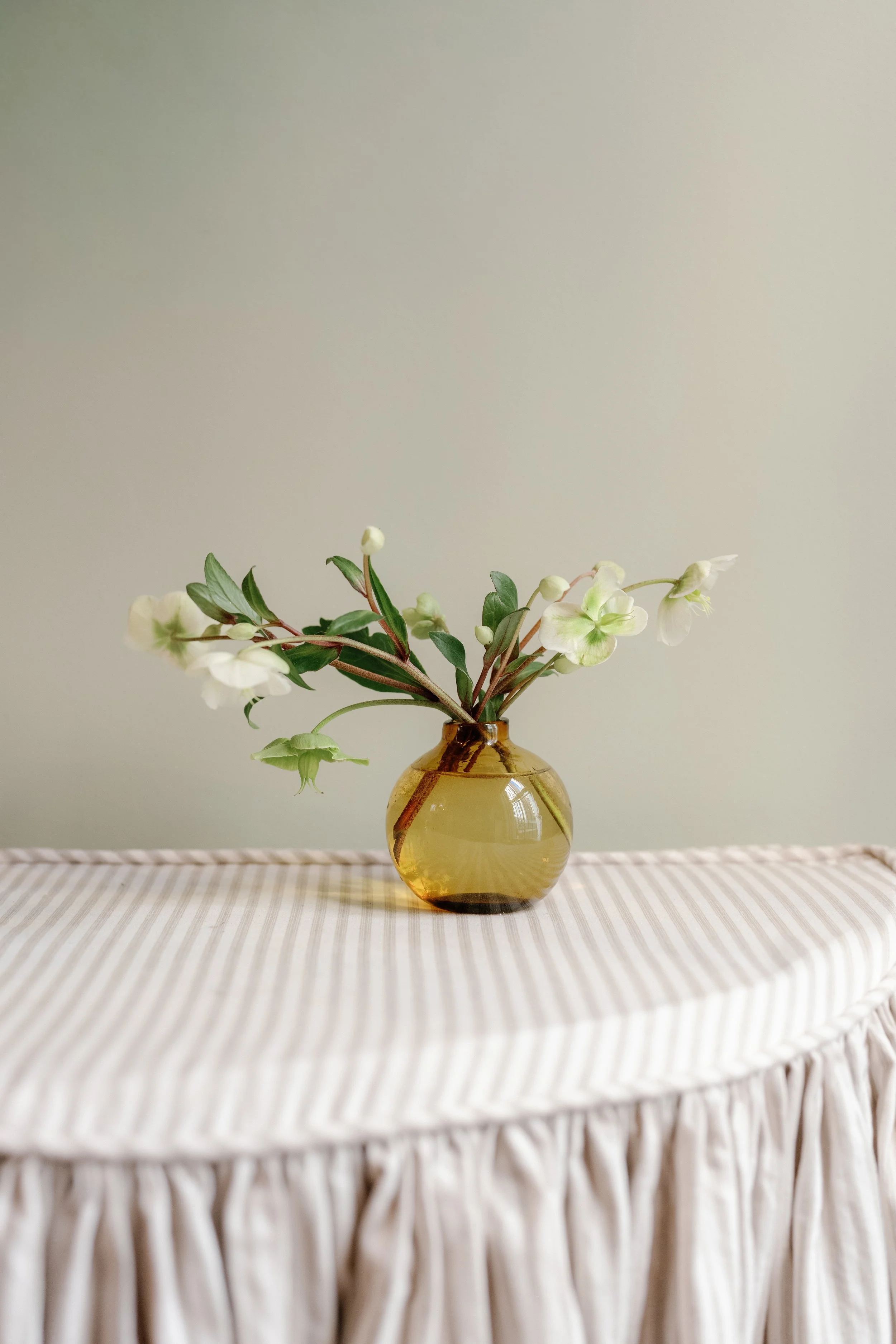 christmas2025-kthompson-94 (1).jpg