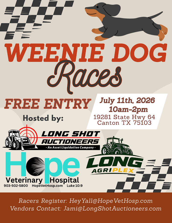 Weenie Dog Races