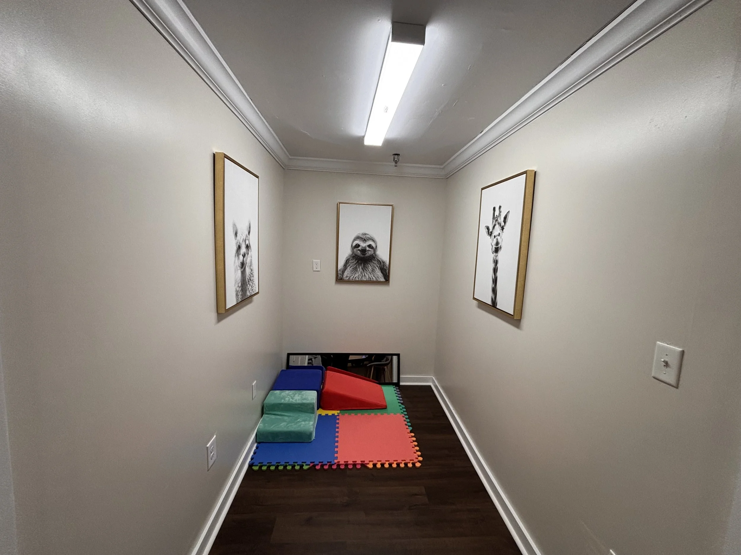 Side of room with animal paintings and soft play mat