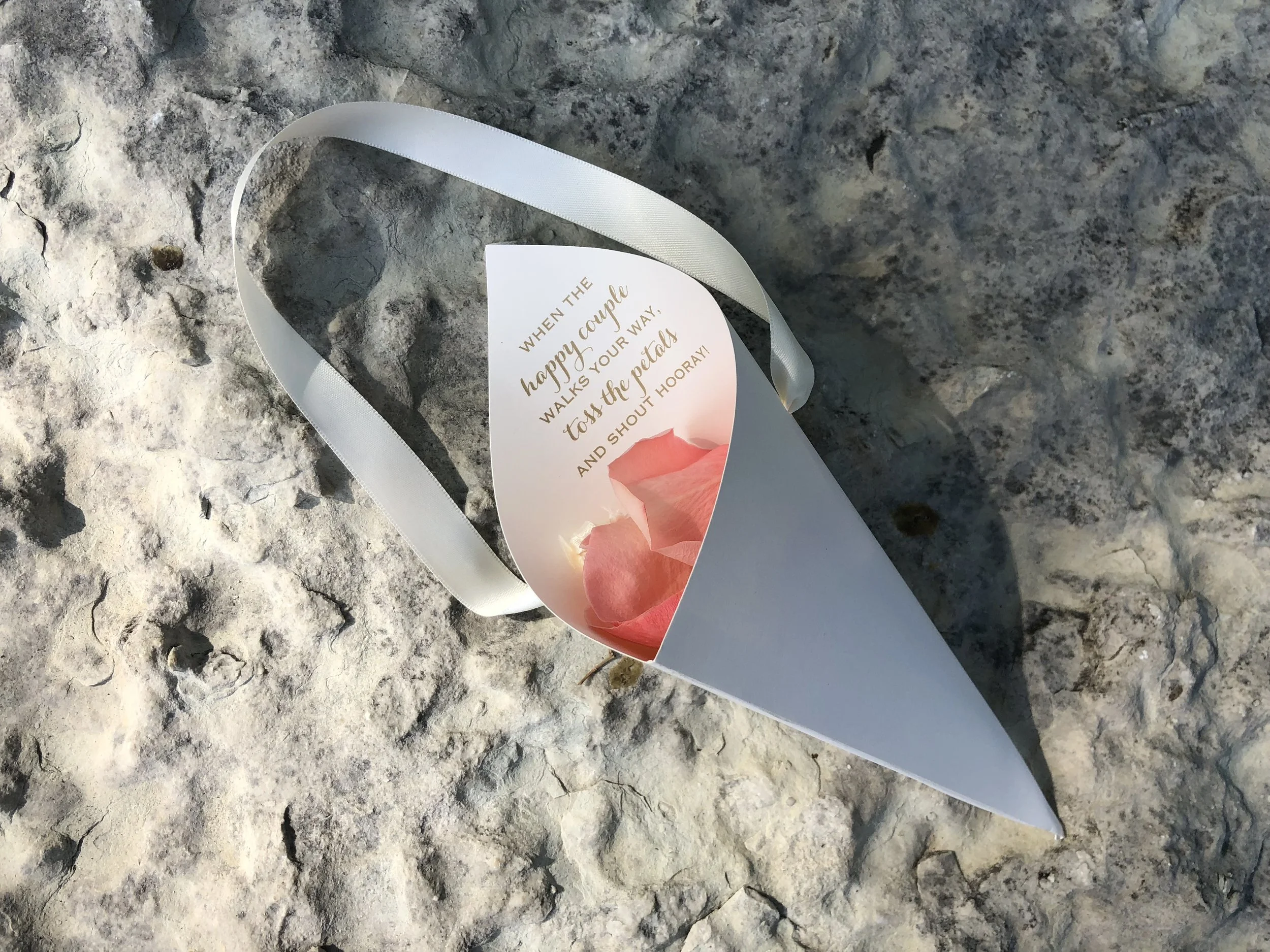 Photo Oct 06, 3 09 55 PM.jpg