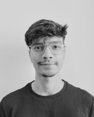 Nilesh Kumar Singh
Software Developer