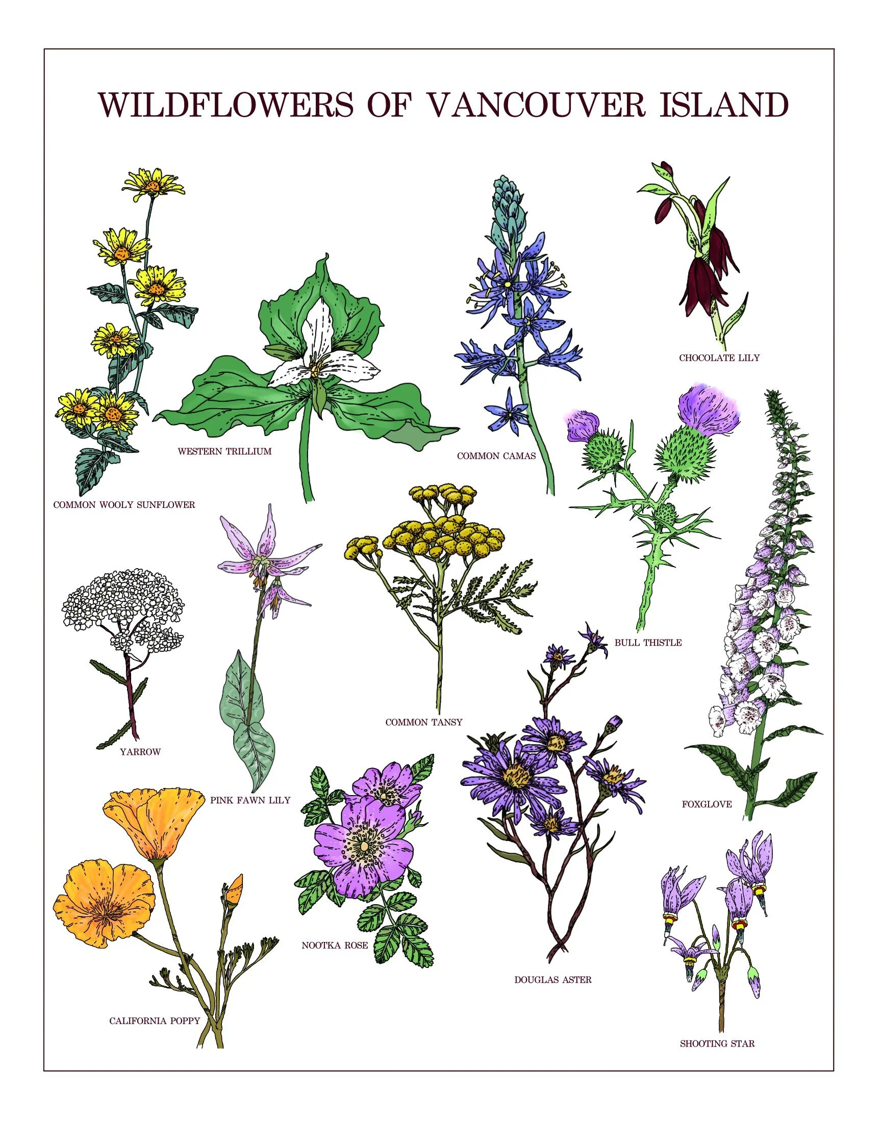 islandflowersposterWeb.jpg