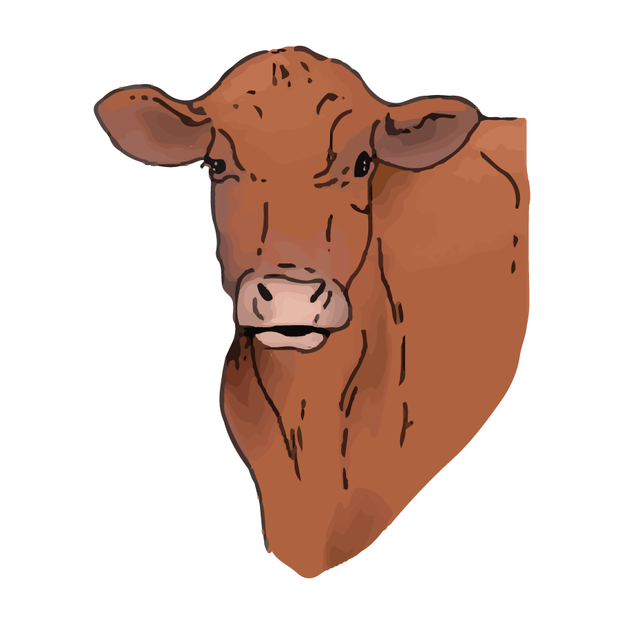 OAK_SpotIllustrations_Cow.png