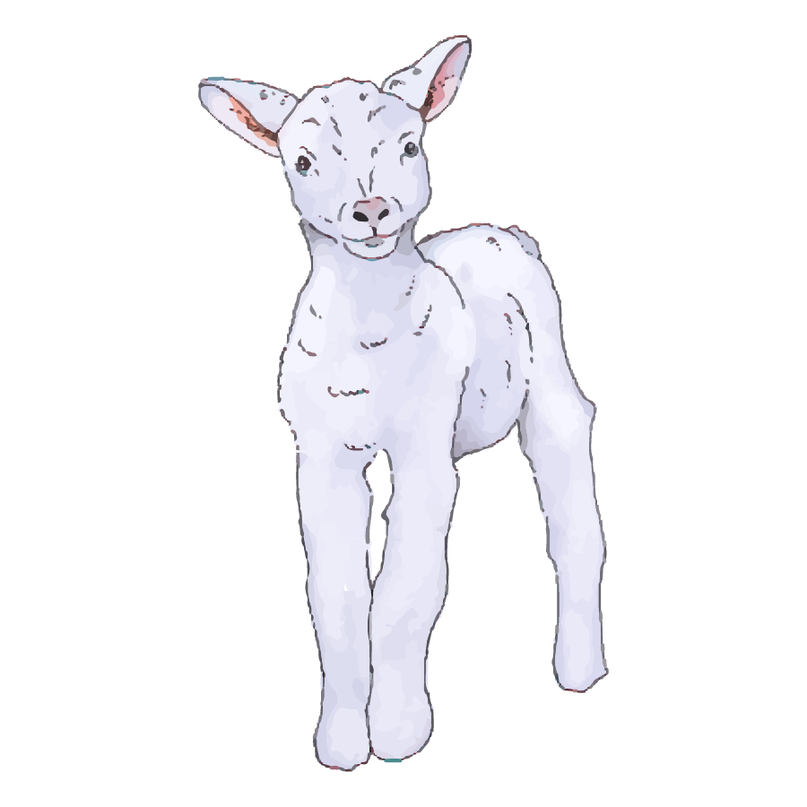 OAK_SpotIllustrations_Lamb.png