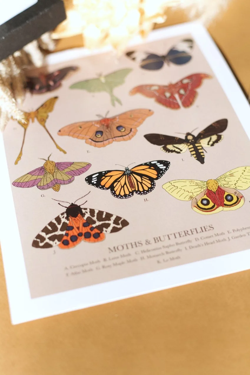 Moths&butterfliesPrint1.jpg