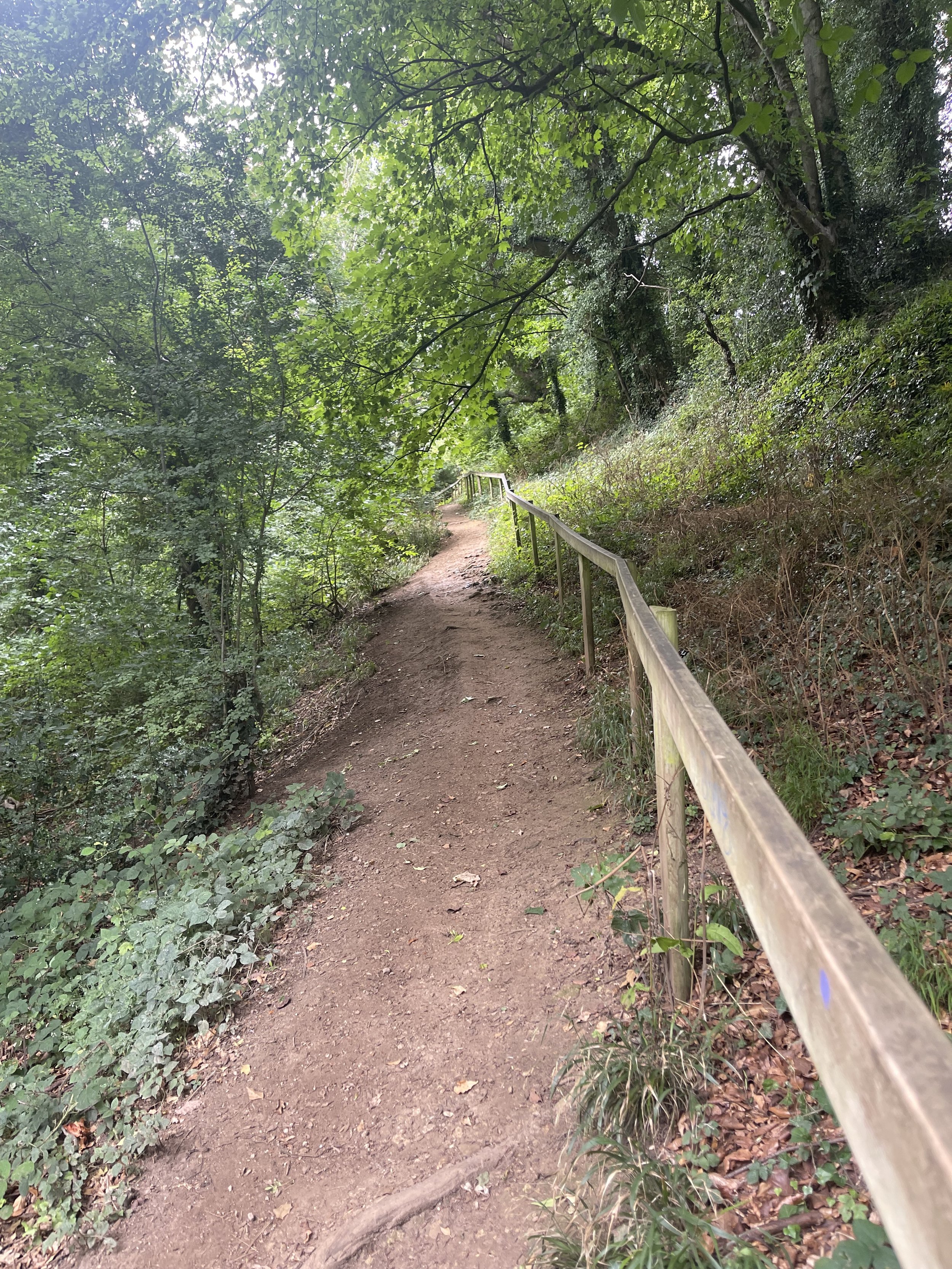 New Work Days Announced 