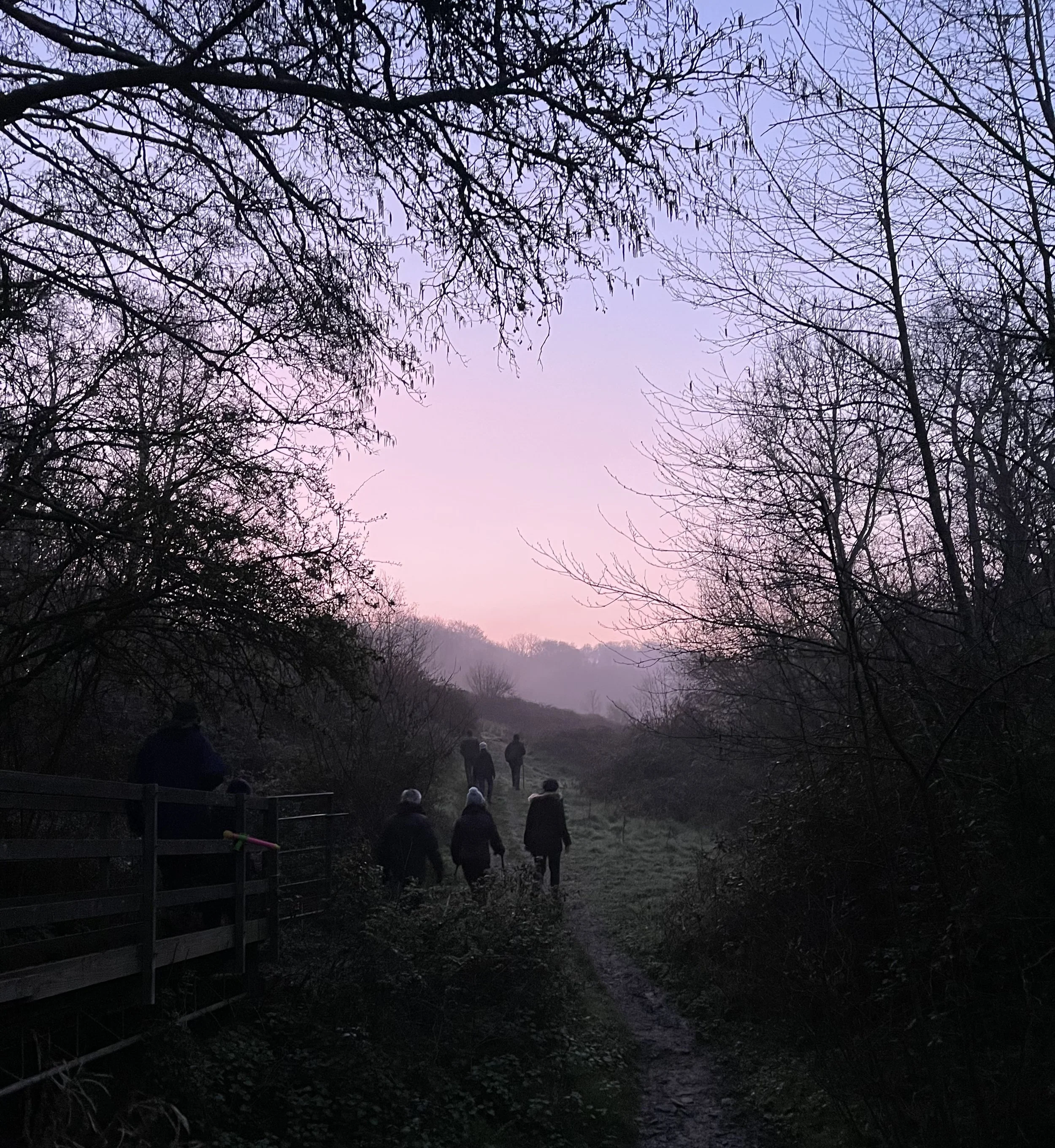 Dawn chorus bird walk on April 12 at 6.15am 
