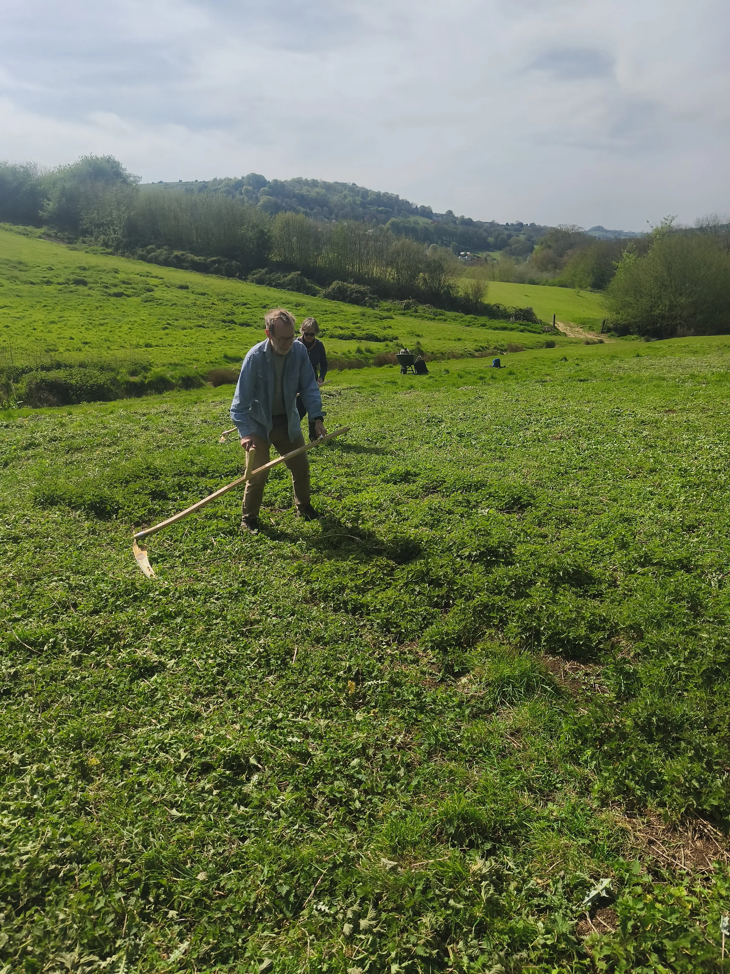 Learn to Scythe with us 4 July 9.45am - 3pm 