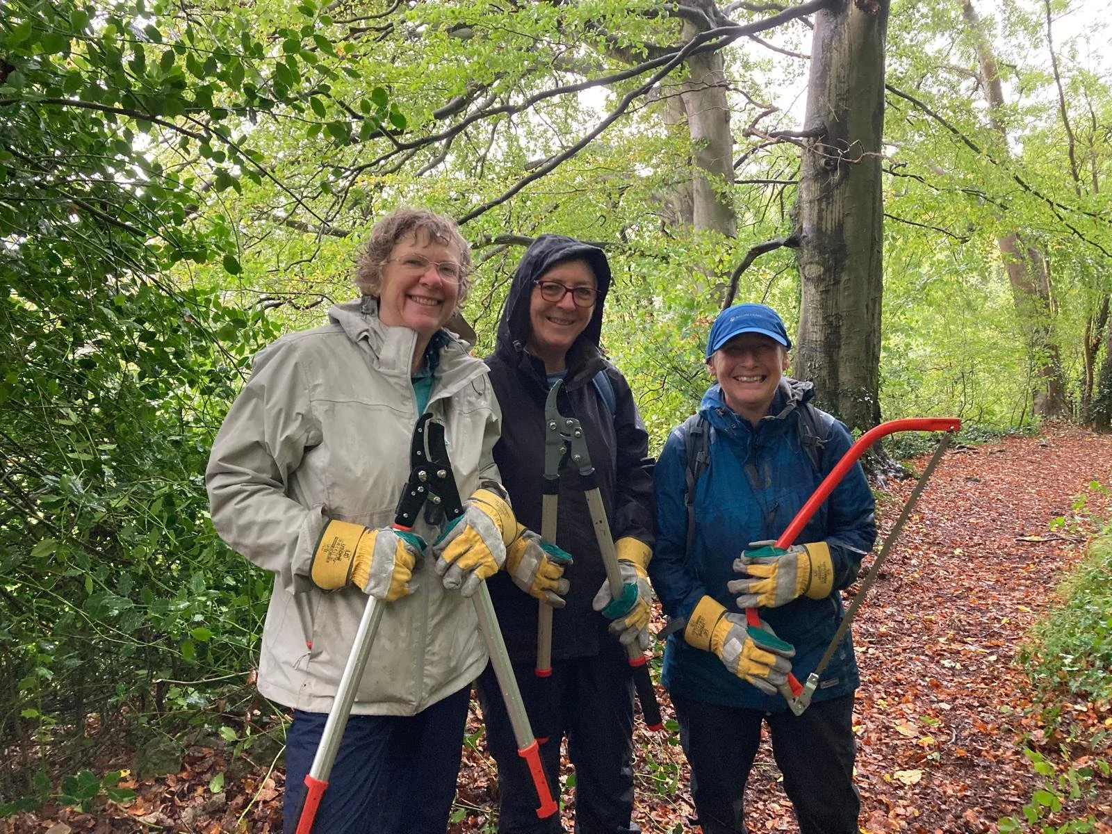 Thinking of volunteering with us?