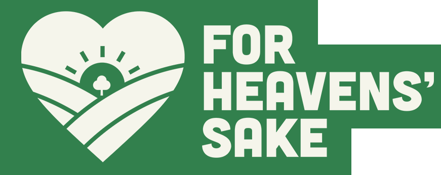 FOR HEAVENS&#39; SAKE