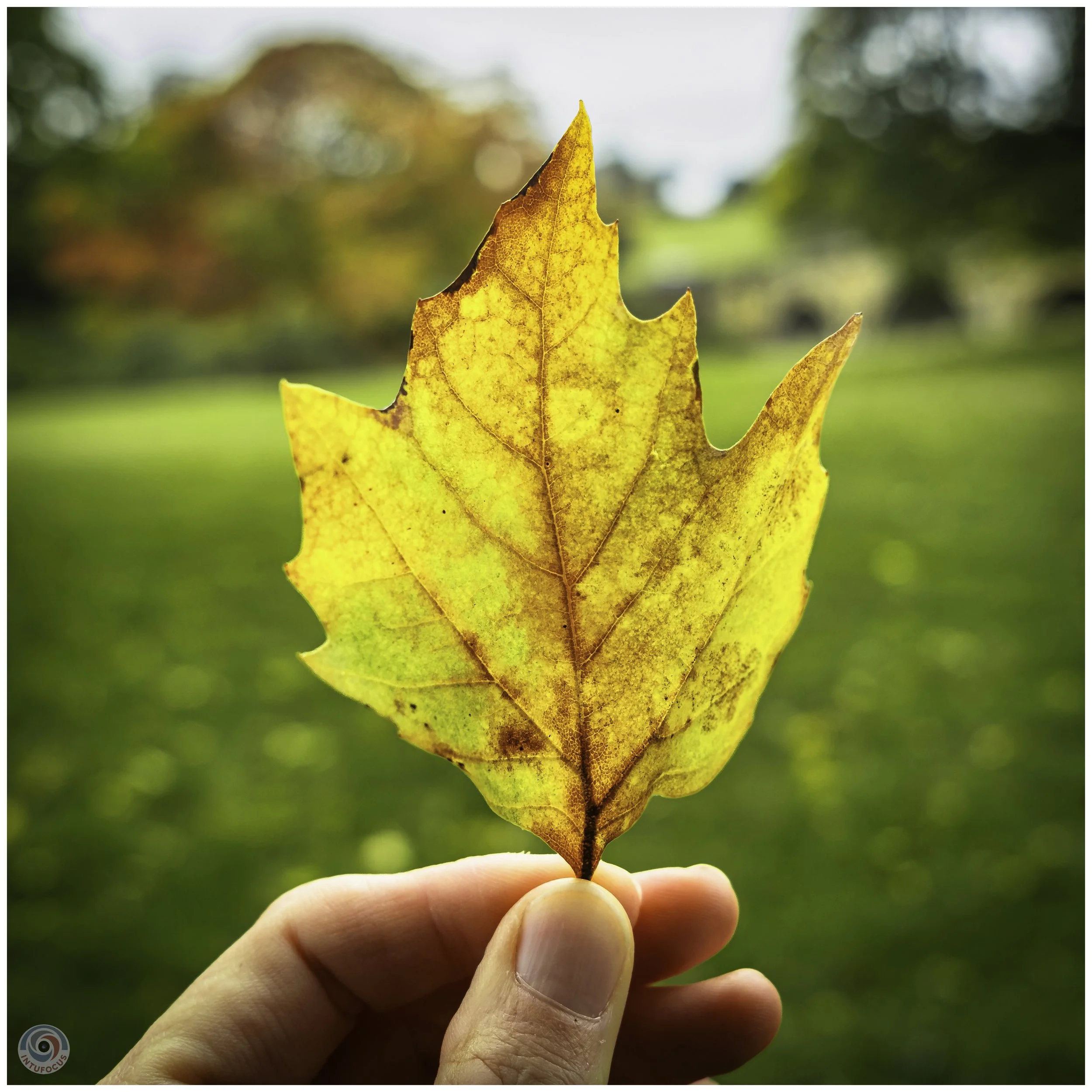 2026-10 - Autumn in Derbyshire (20 of 78).jpg