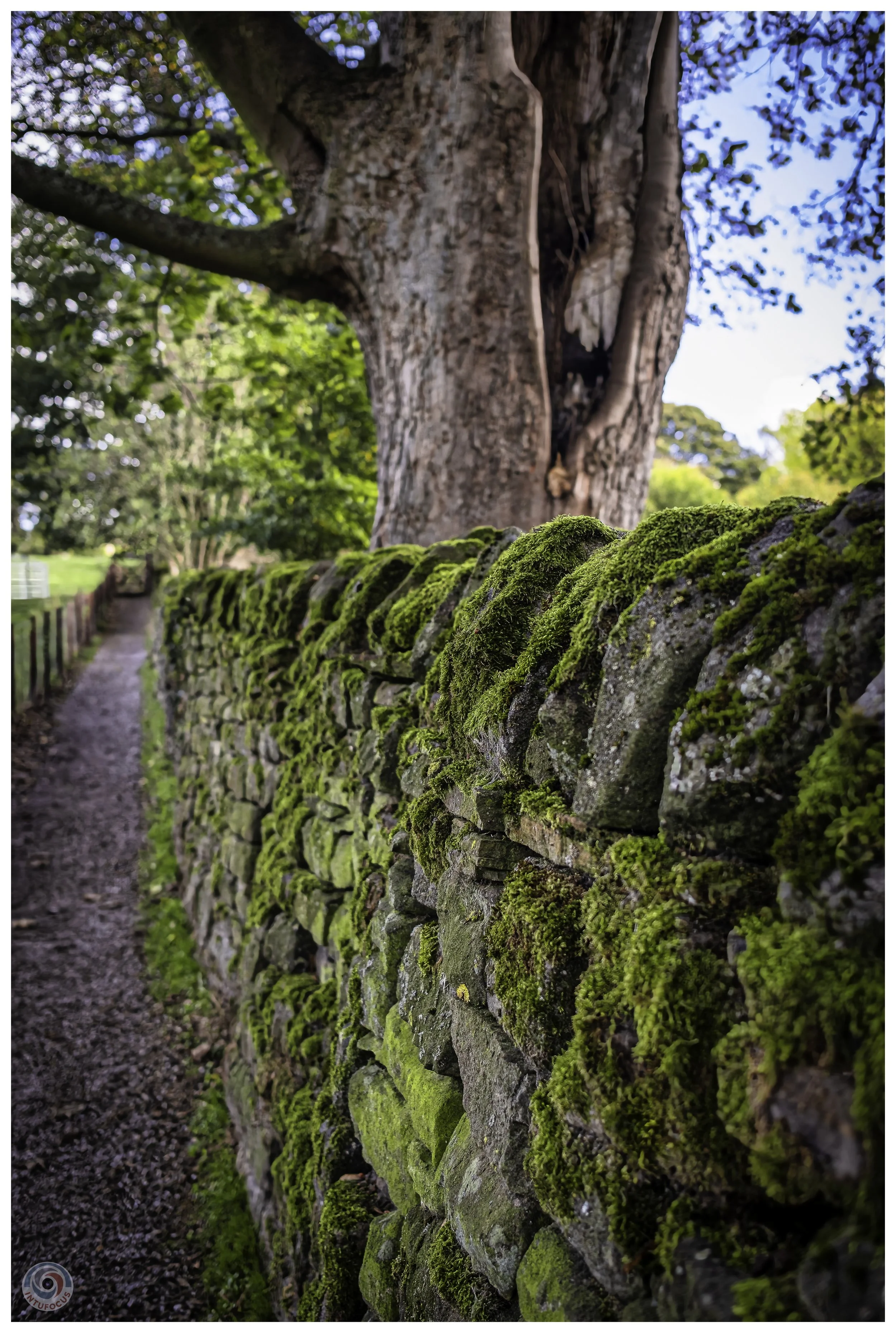 2026-10 - Autumn in Derbyshire (59 of 78).jpg