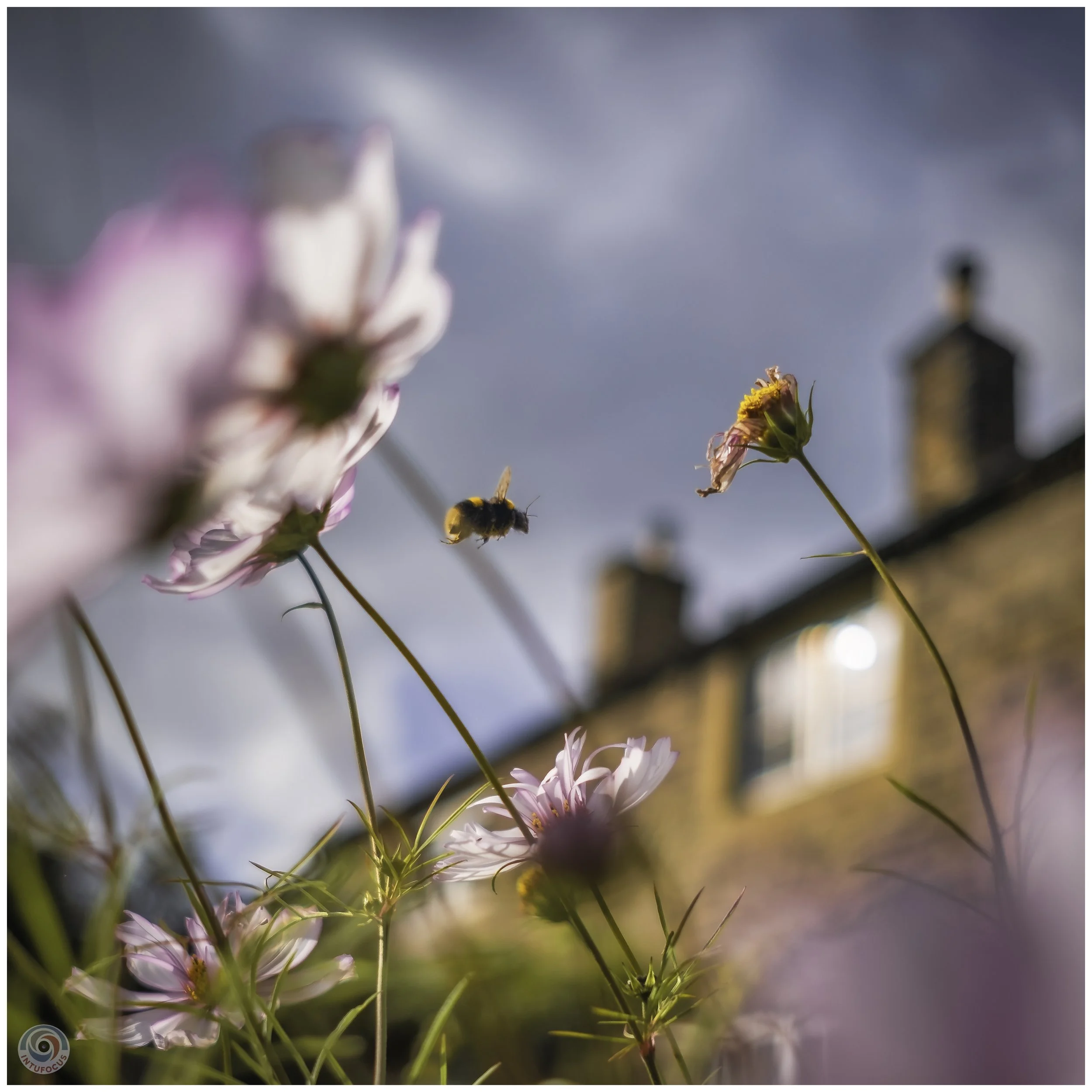 2026-10 - Autumn in Derbyshire (78 of 78).jpg