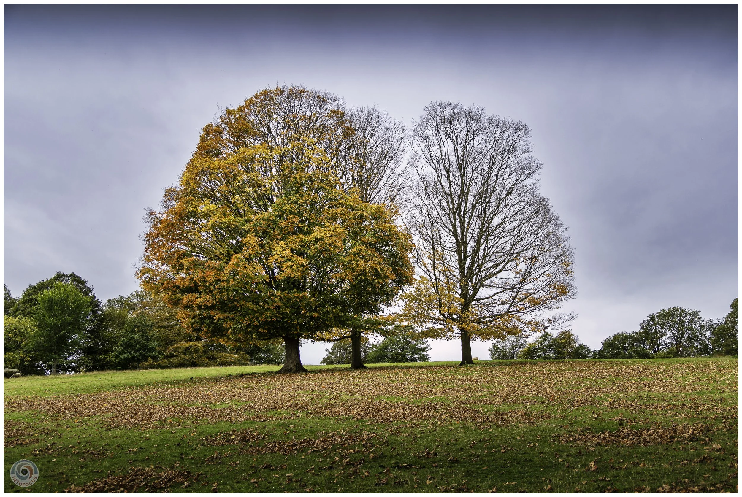 2026-10 - Autumn in Derbyshire (35 of 78).jpg