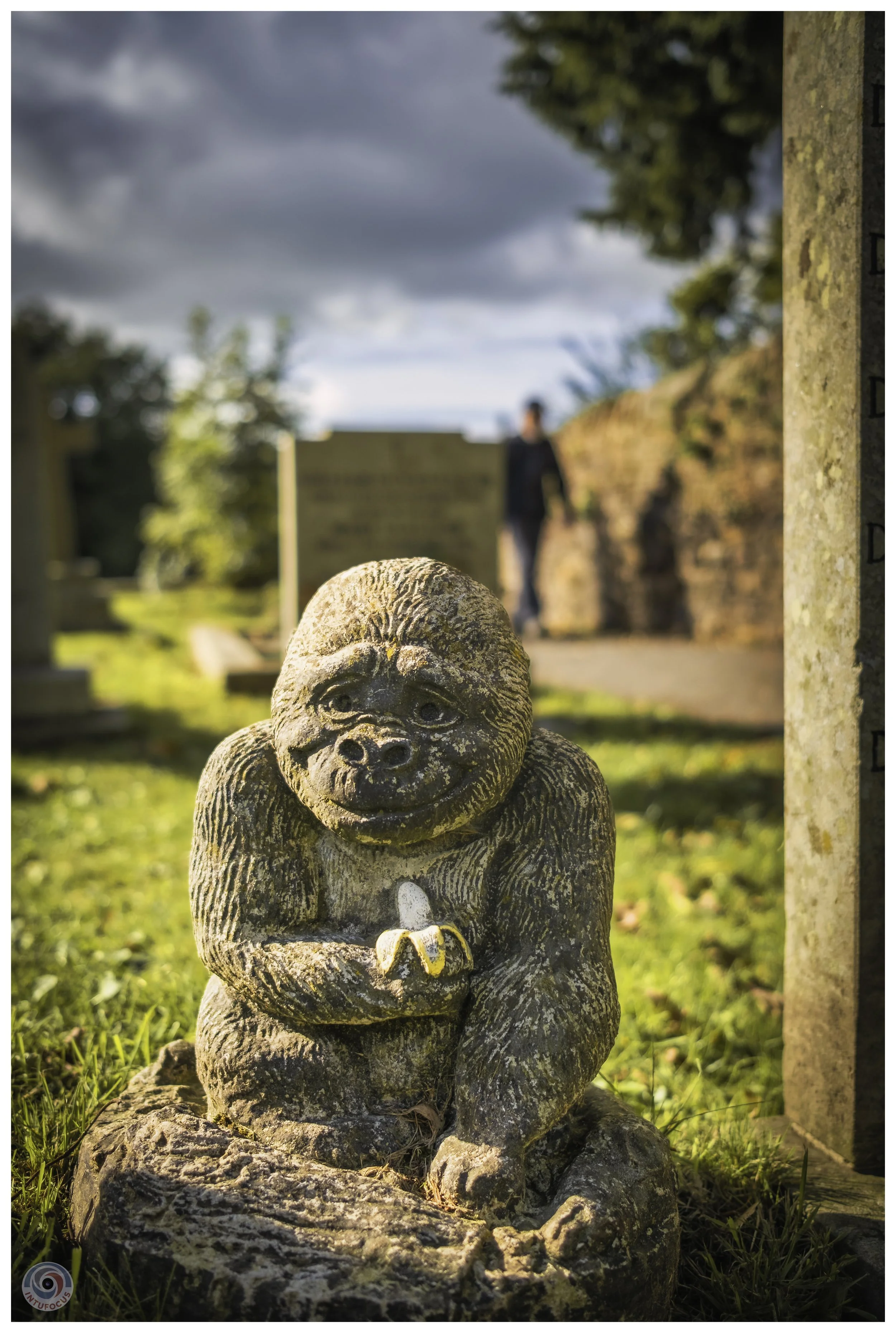 2026-10 - Autumn in Derbyshire (61 of 78).jpg