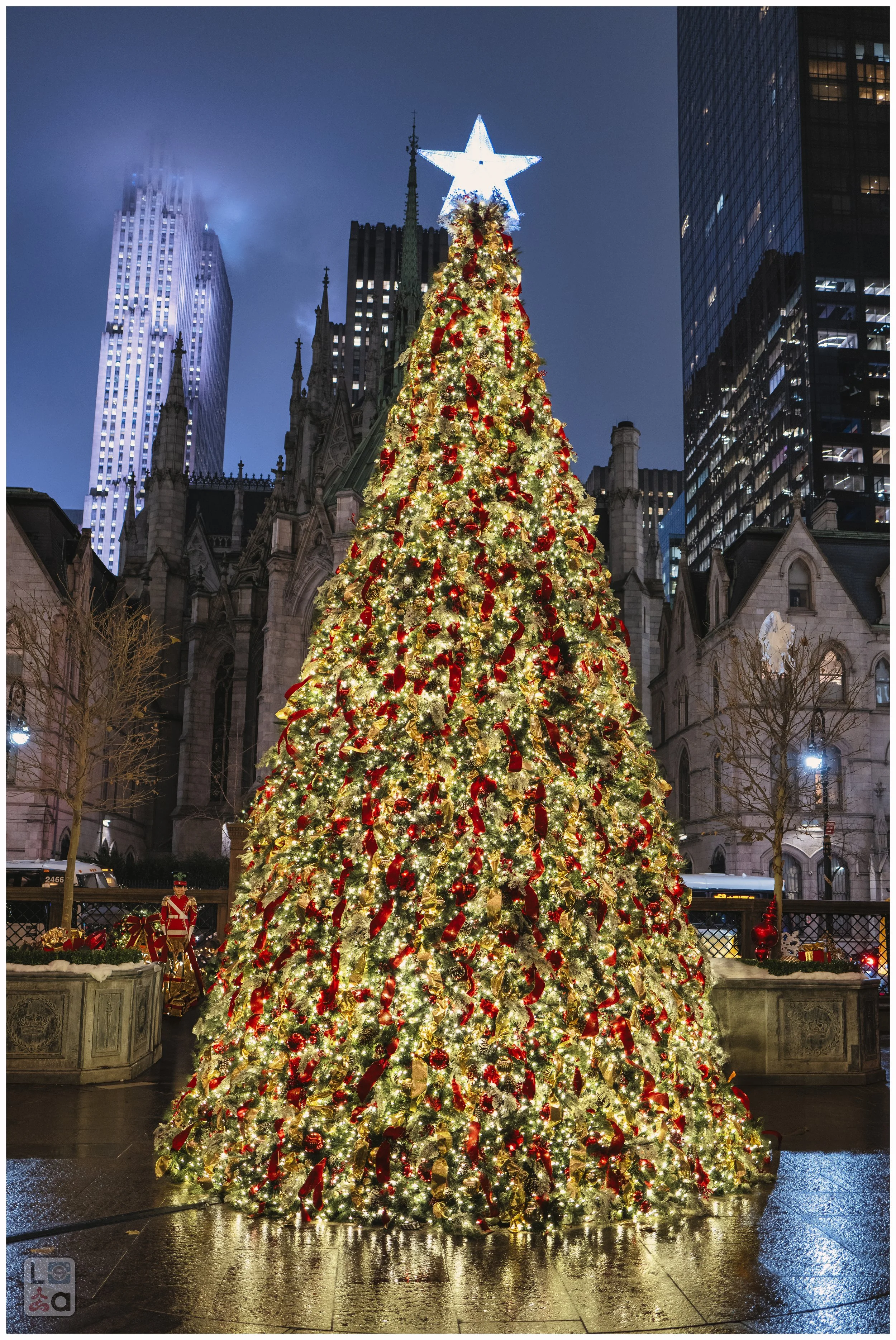 2024-12 - New York-76.jpg