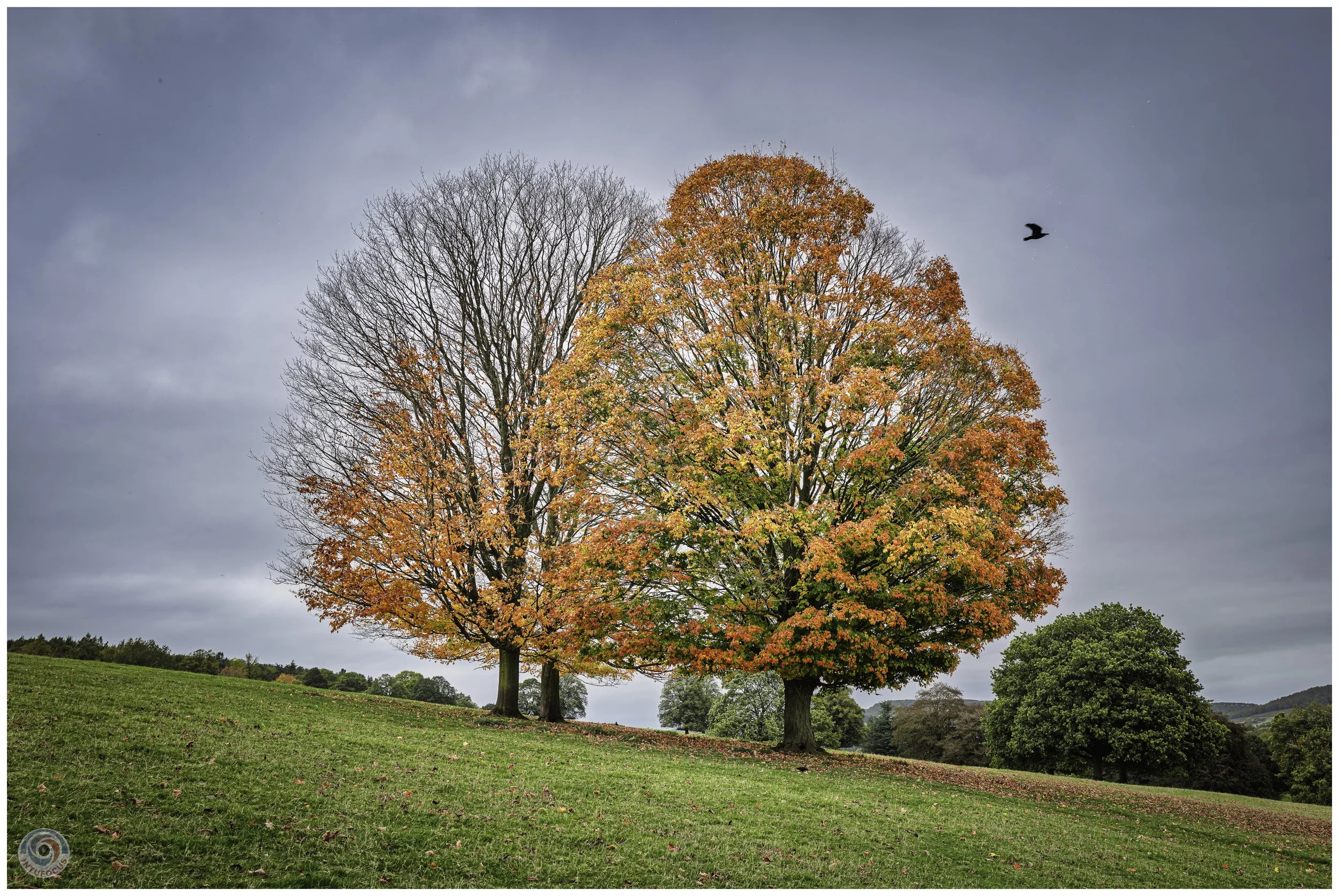 2026-10 - Autumn in Derbyshire (43 of 78).jpg