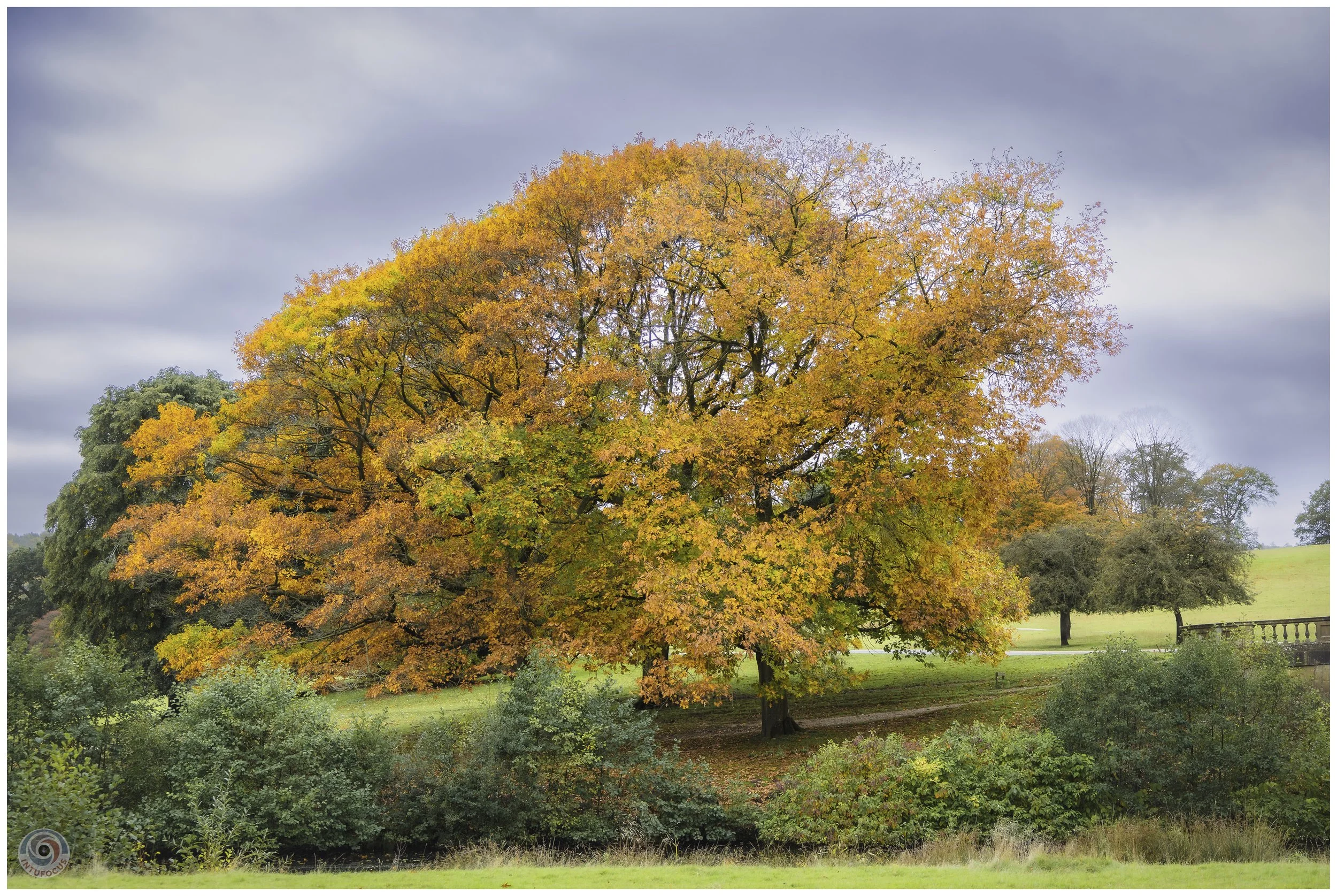 2026-10 - Autumn in Derbyshire (19 of 78).jpg