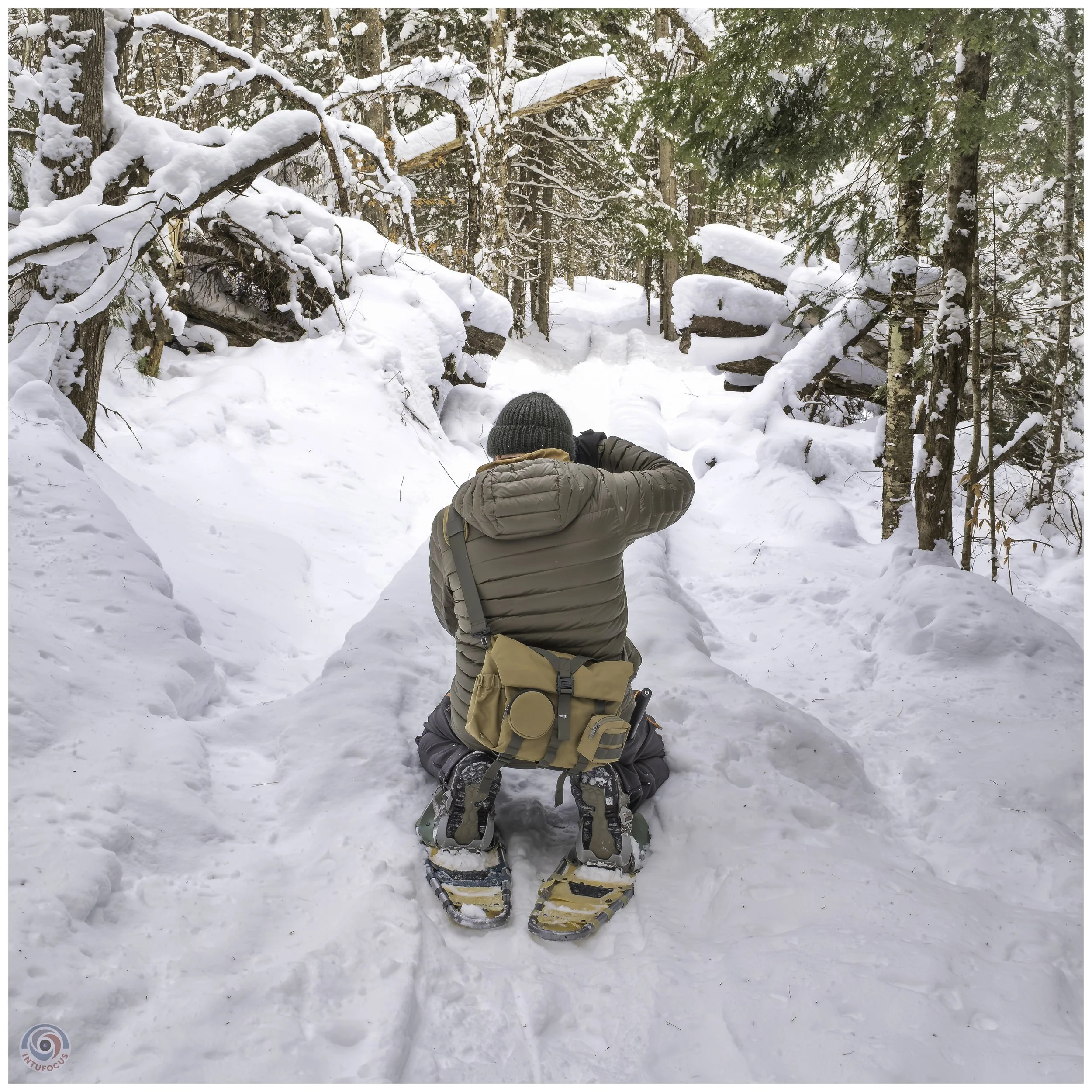 Cady Hill Forest, Stowe, VT