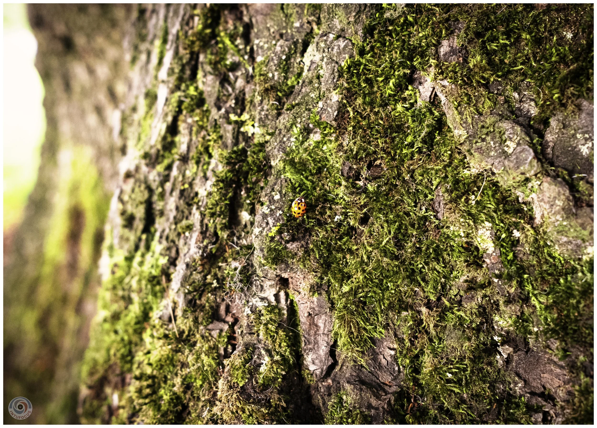 2026-10 - Autumn in Derbyshire (18 of 78).jpg